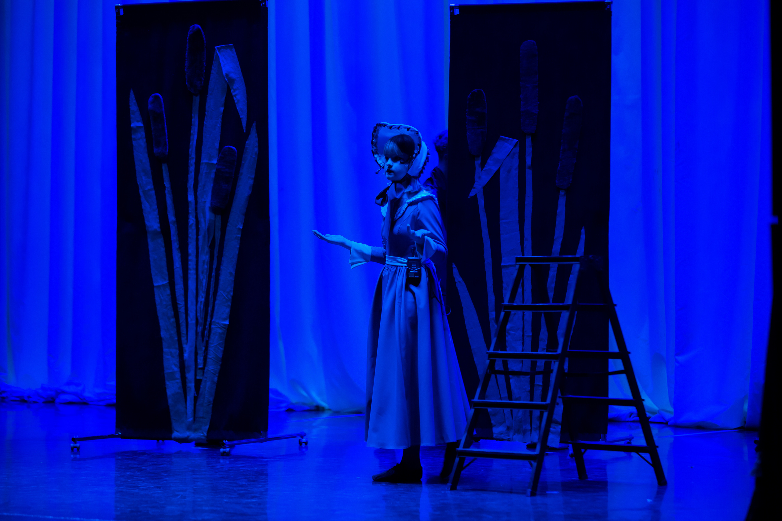 Театр-студия «ОК"ФАНТАЗИЯ» Премьера сказки „ДИКИЙ“. Профессиональный фотограф в Мценске и Орловской области