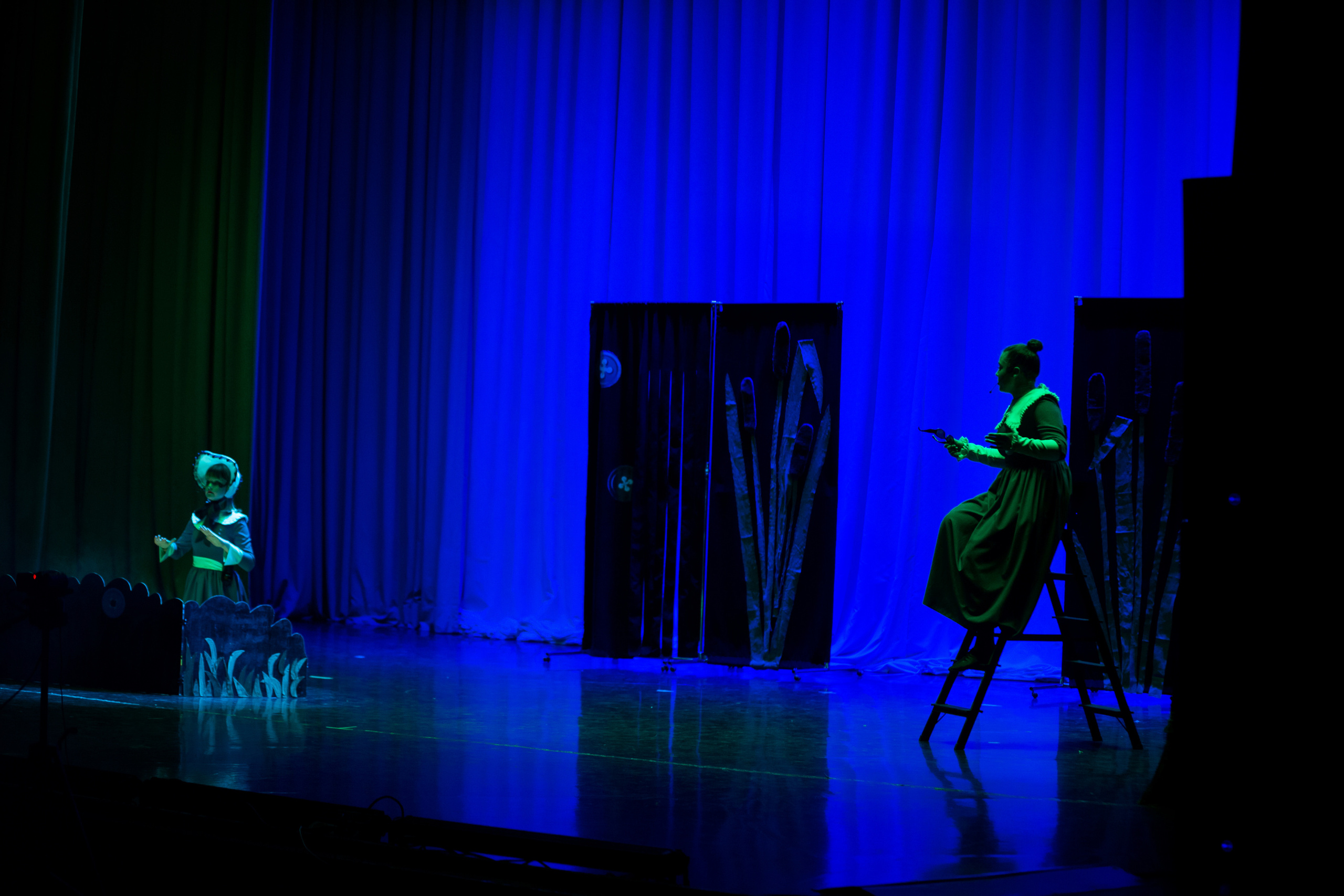 Театр-студия «ОК"ФАНТАЗИЯ» Премьера сказки „ДИКИЙ“. Профессиональный фотограф в Мценске и Орловской области