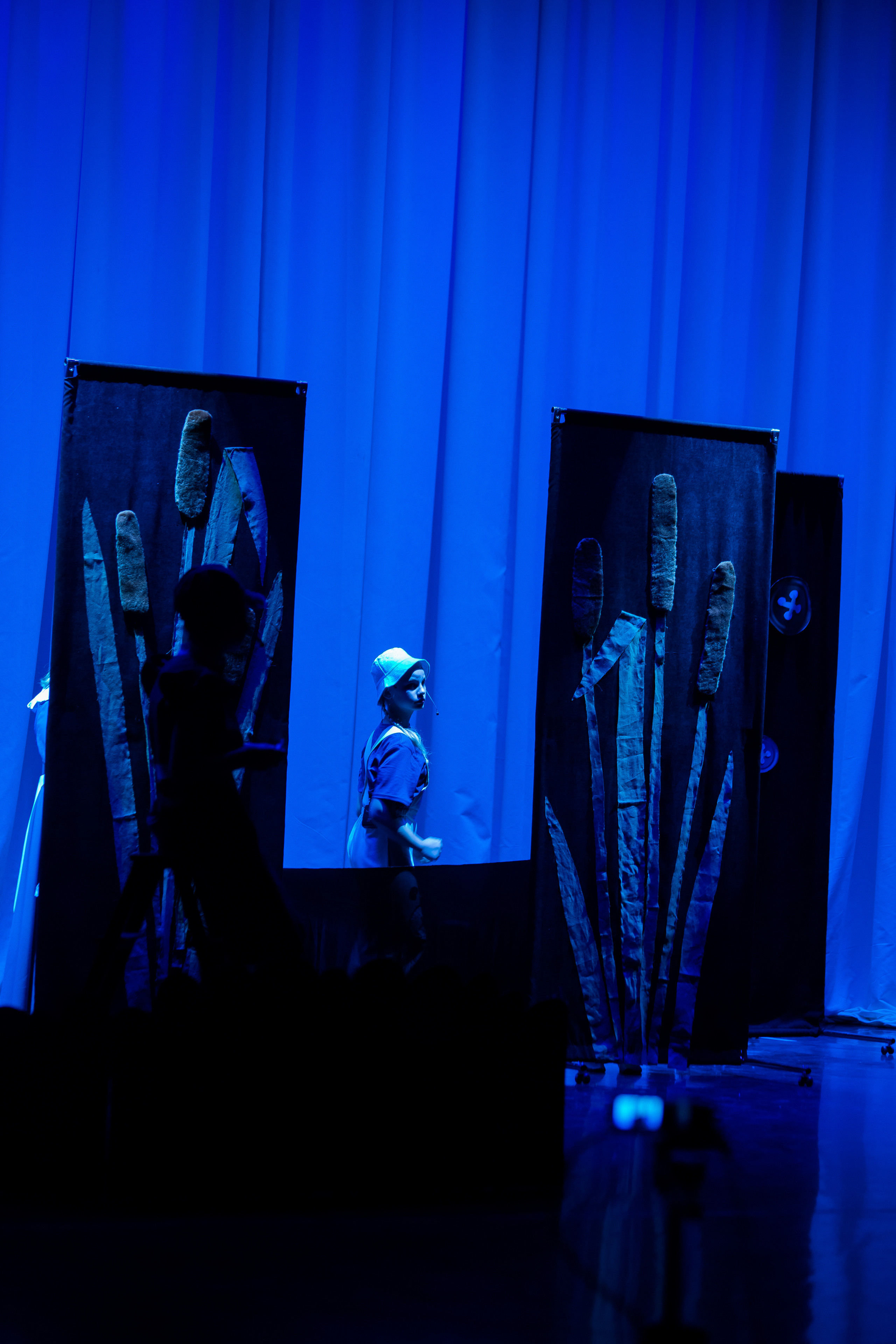 Театр-студия «ОК"ФАНТАЗИЯ» Премьера сказки „ДИКИЙ“. Профессиональный фотограф в Мценске и Орловской области