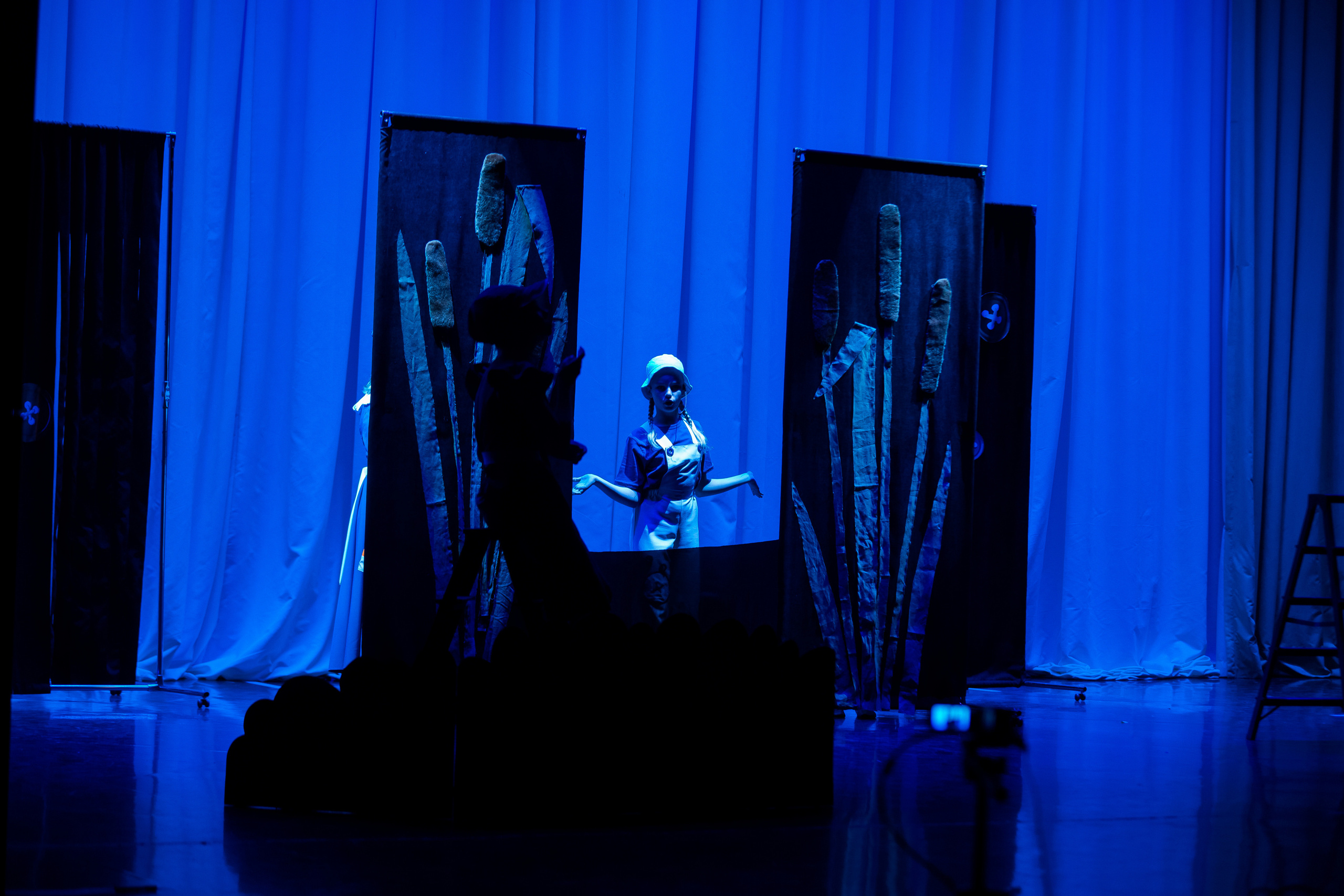 Театр-студия «ОК"ФАНТАЗИЯ» Премьера сказки „ДИКИЙ“. Профессиональный фотограф в Мценске и Орловской области