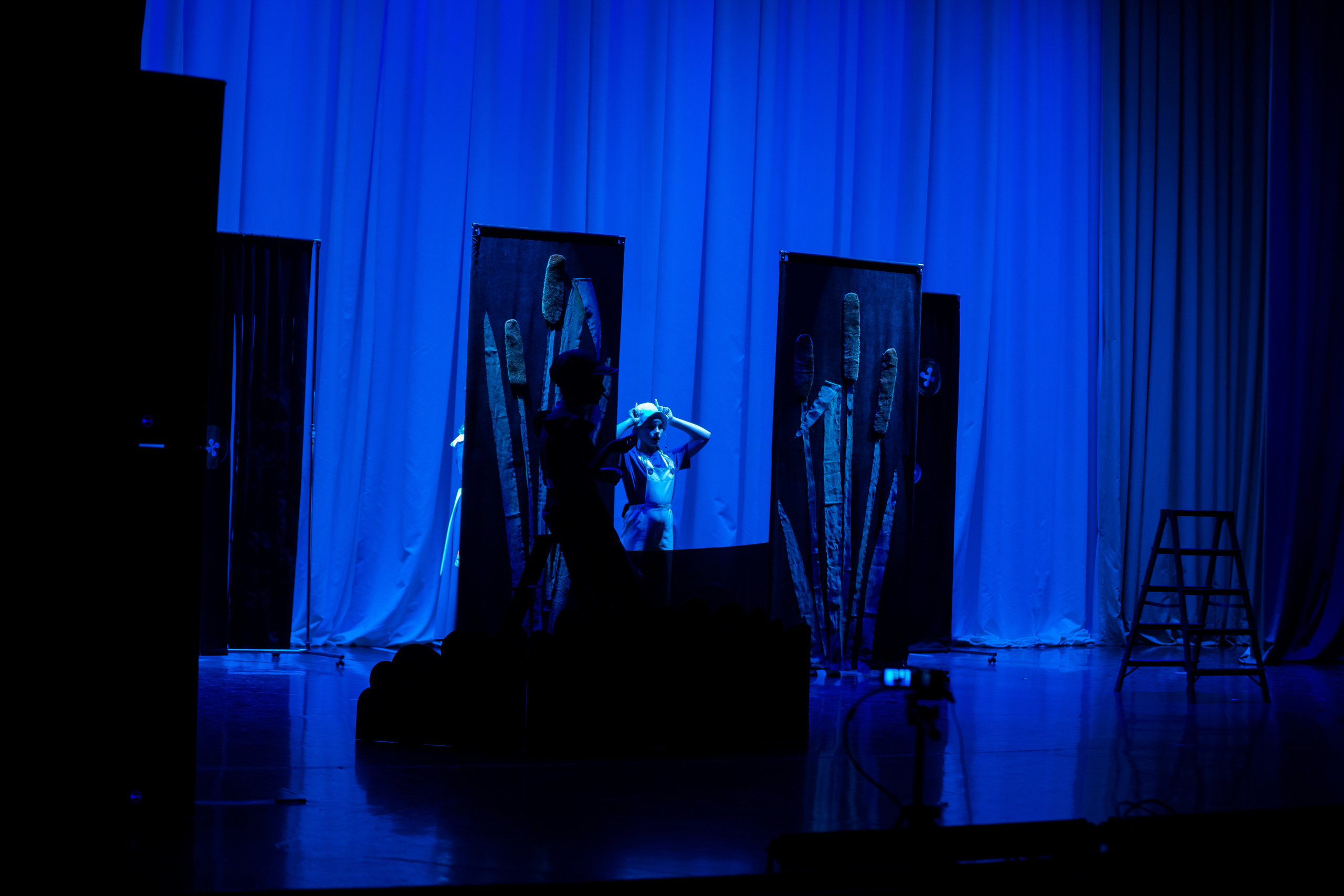 Театр-студия «ОК"ФАНТАЗИЯ» Премьера сказки „ДИКИЙ“. Профессиональный фотограф в Мценске и Орловской области