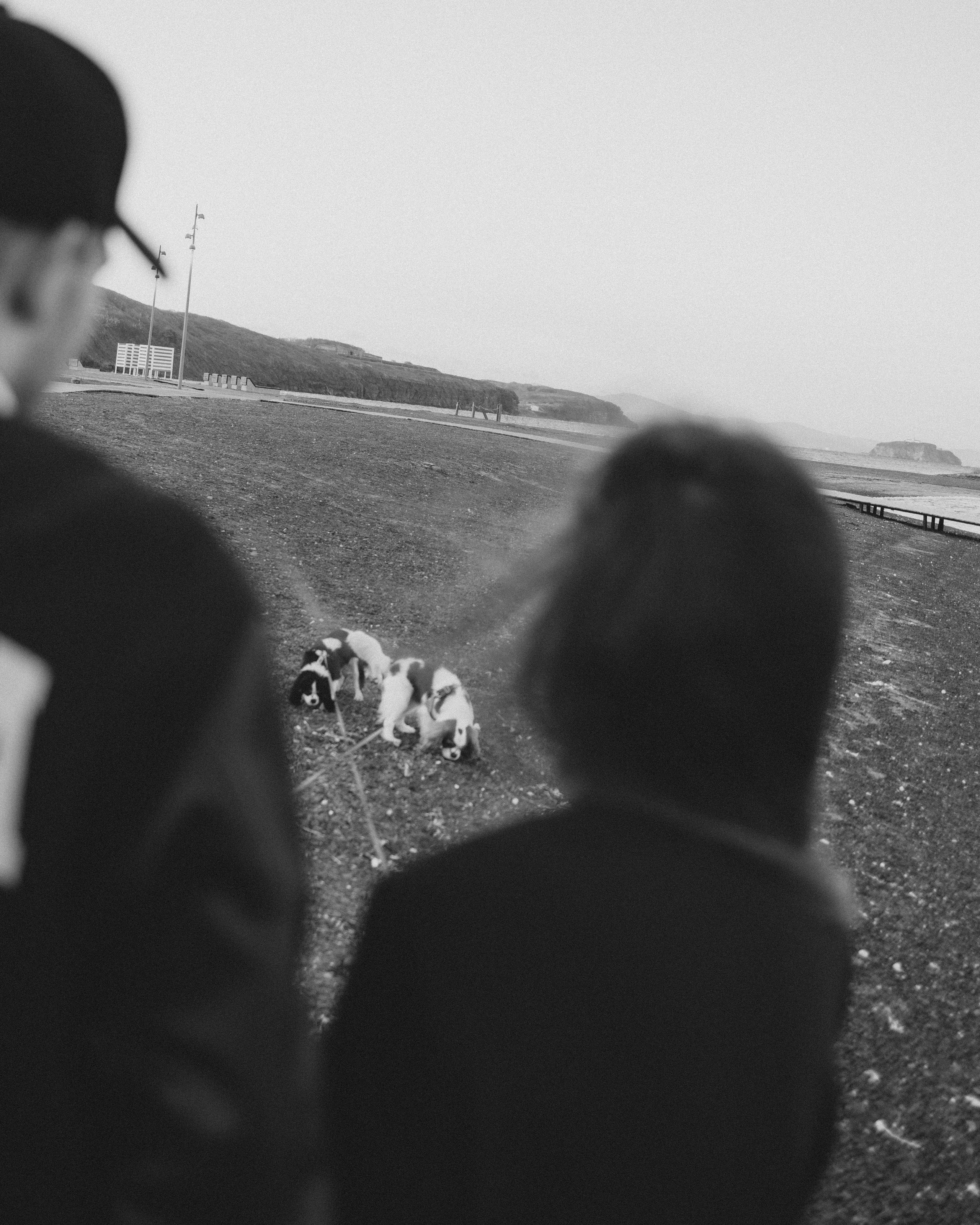 Кирилл и Мелания. Фотограф Виктория Куприянова