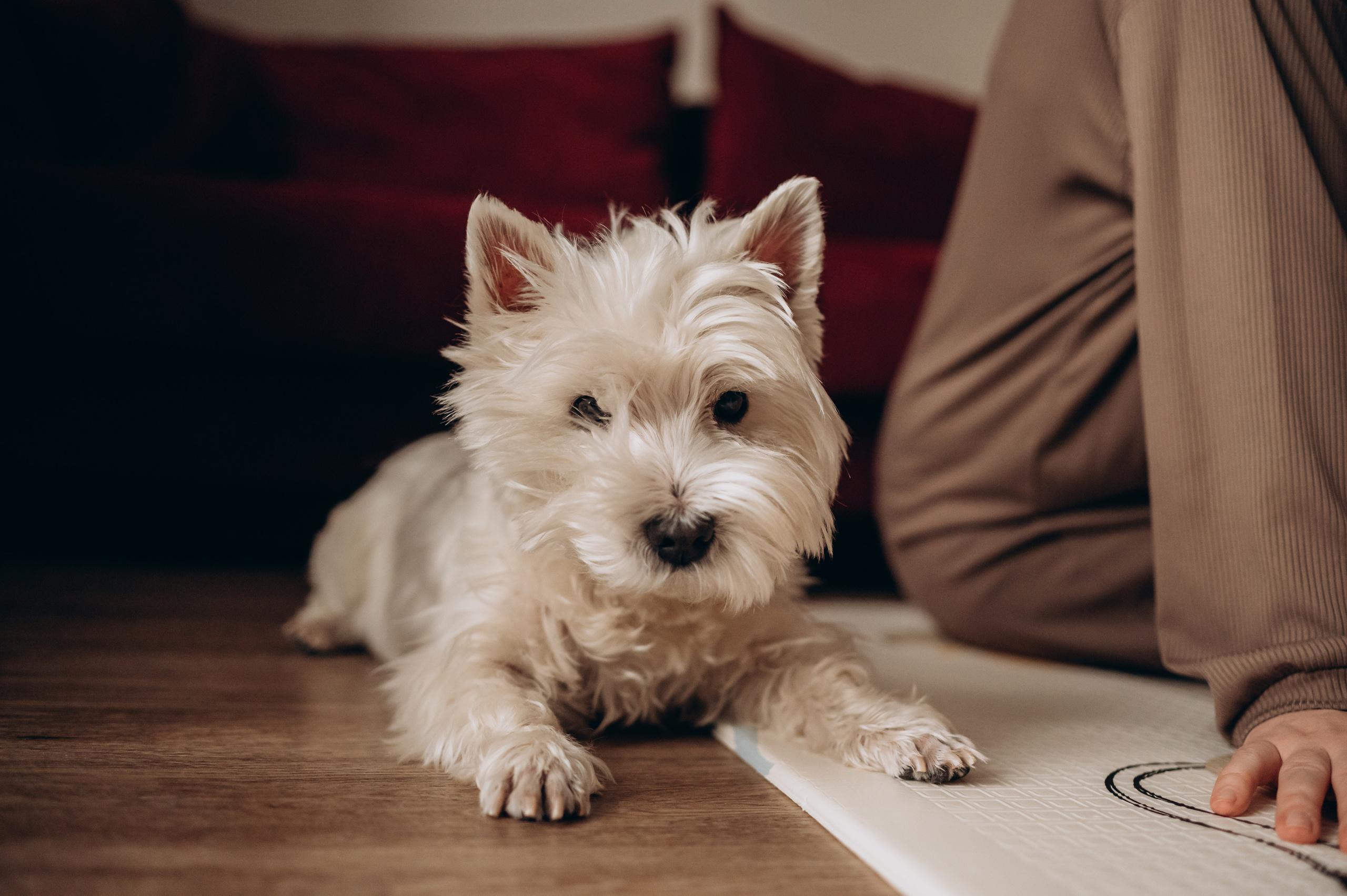 Юлия Юрий Аня и Игорь. Детский и семейный фотограф в Москве
