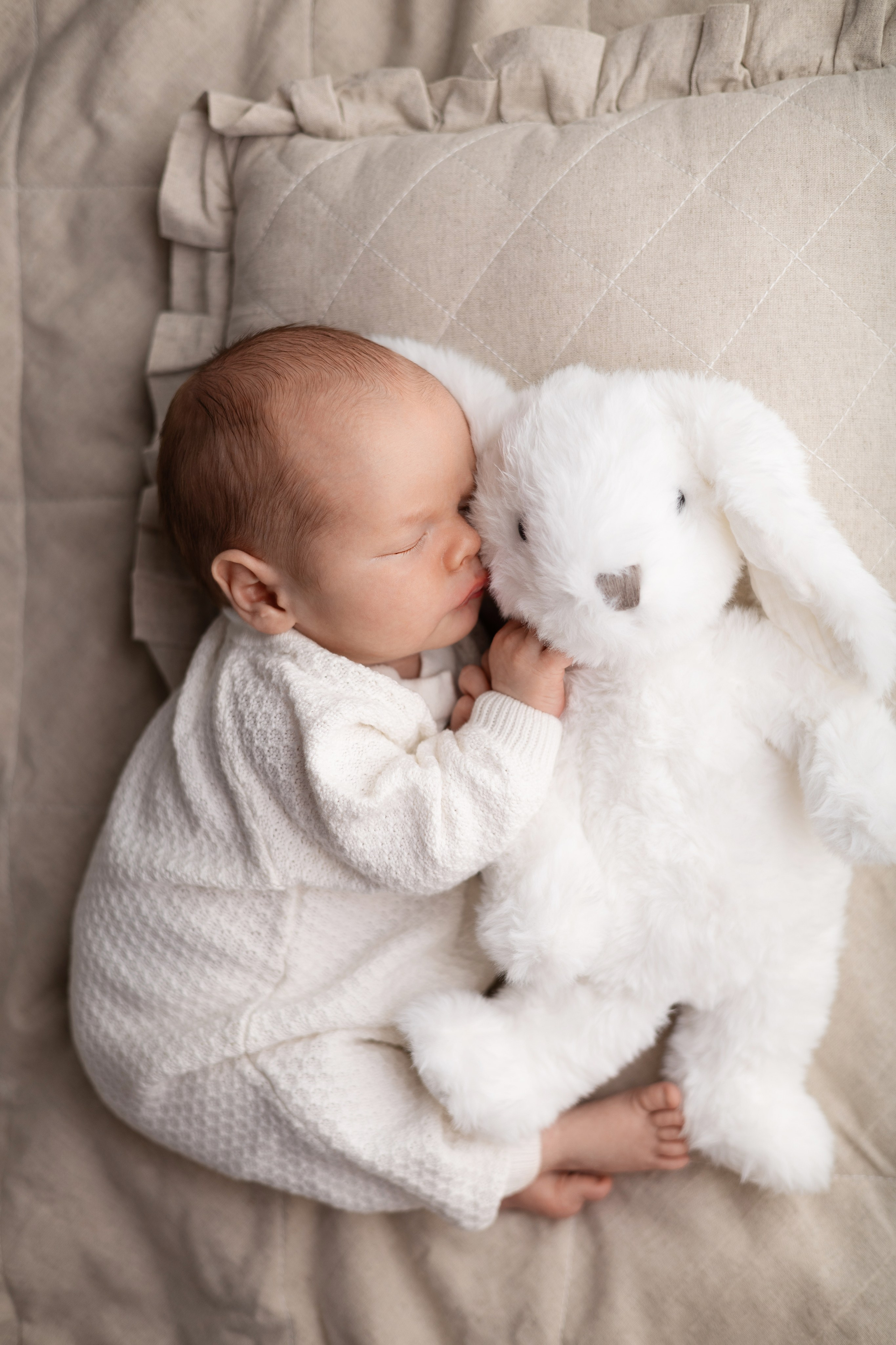 Лев. Лилия Алтухова — фотограф новорожденных в Москве и области