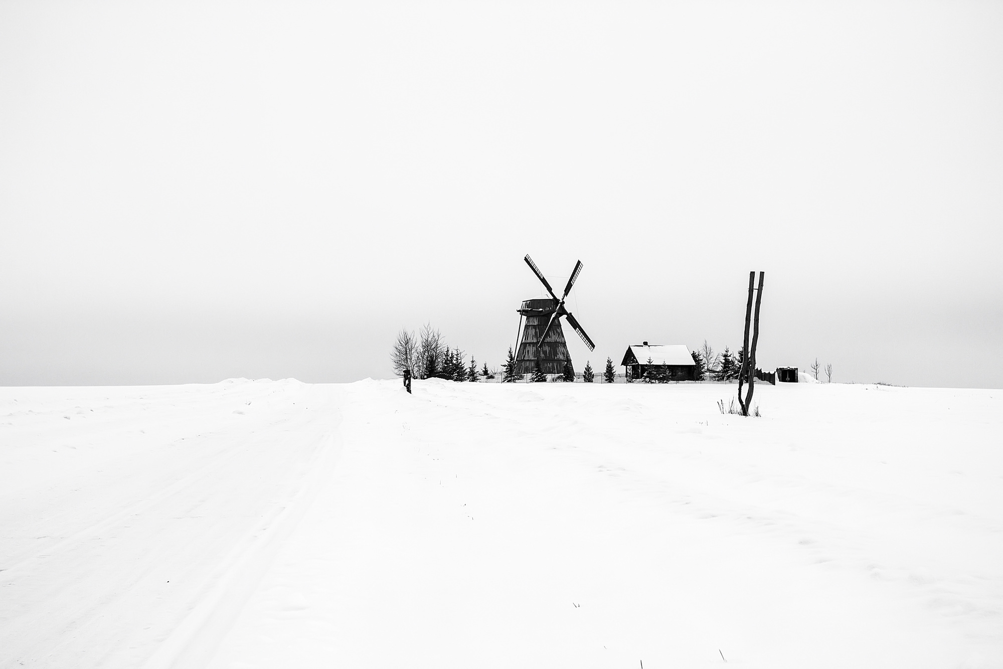 Монохром. Фотограф Минск Юлия Войнич