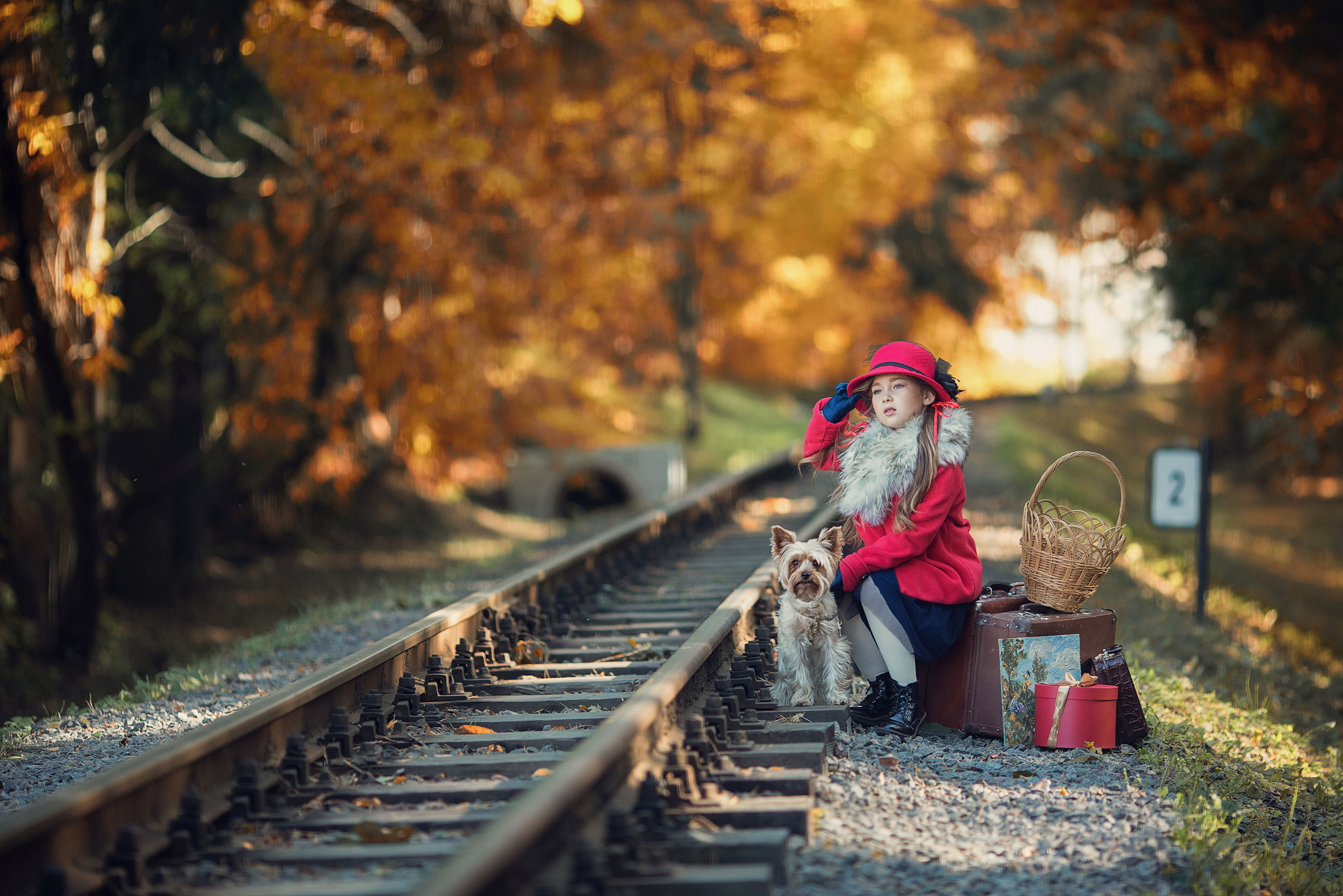 Дама с собачкой. Фотограф Минск Юлия Войнич