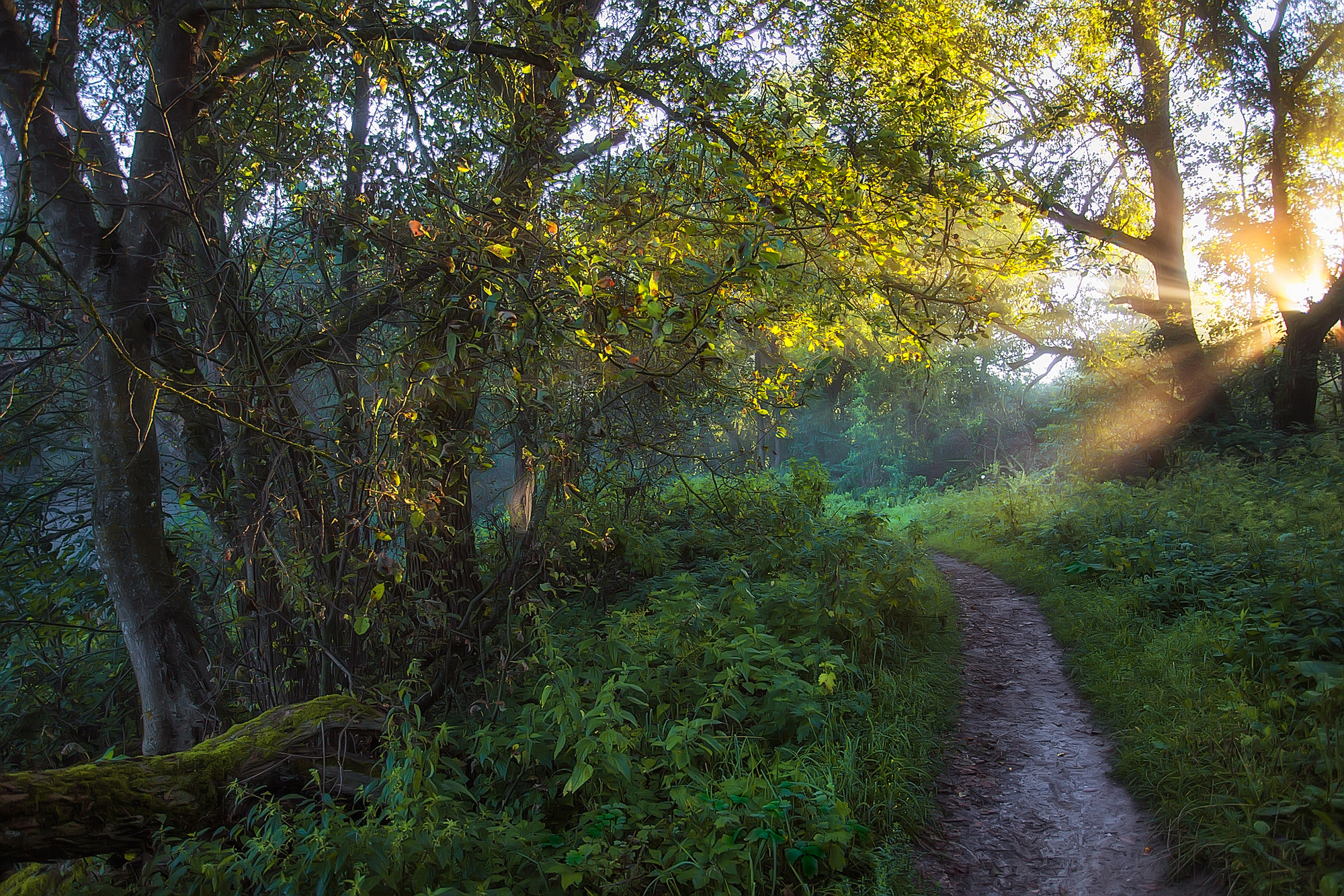 Пейзаж, животные, архитектура. Фотограф Минск Юлия Войнич