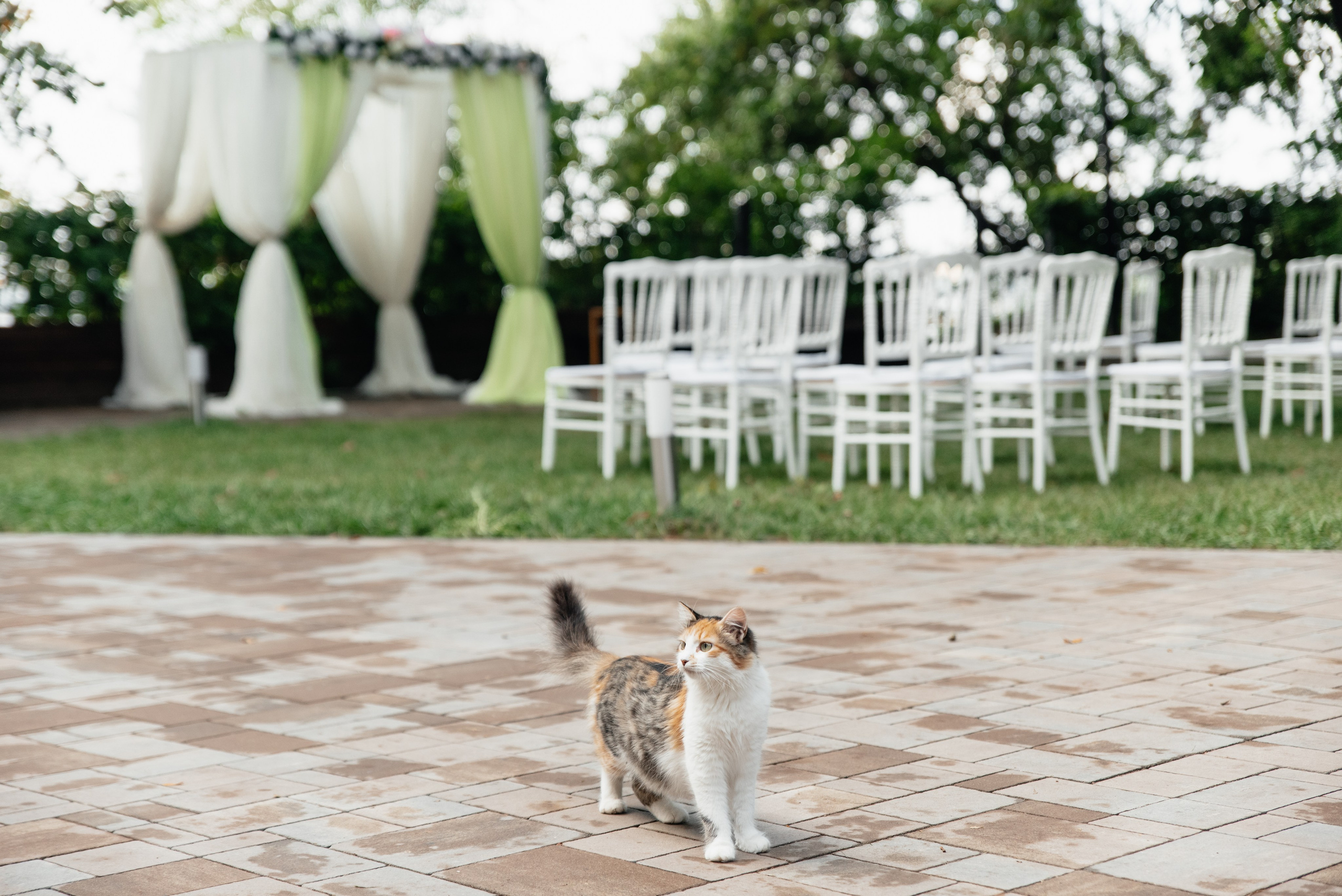 Свадьба Эдгара и Ксении (Волгоград, 17.09.2022). Свадебный и travel фотограф в Волгограде, Сочи, Домбае, Европе