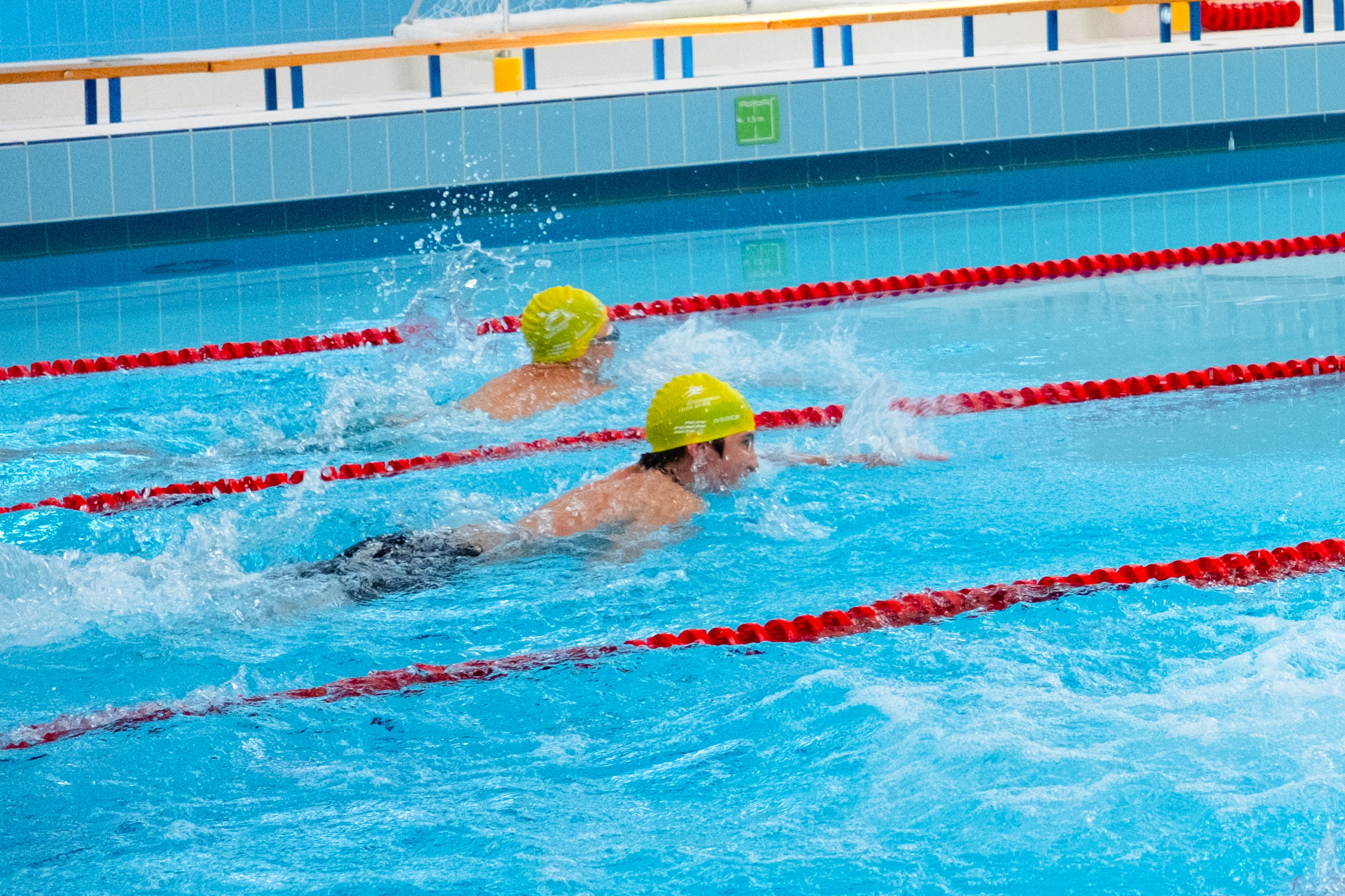 Всероссийский фестиваль «День пловца» в Сириусе. Репортажный фотограф в Сочи Екатерина Вежливцева