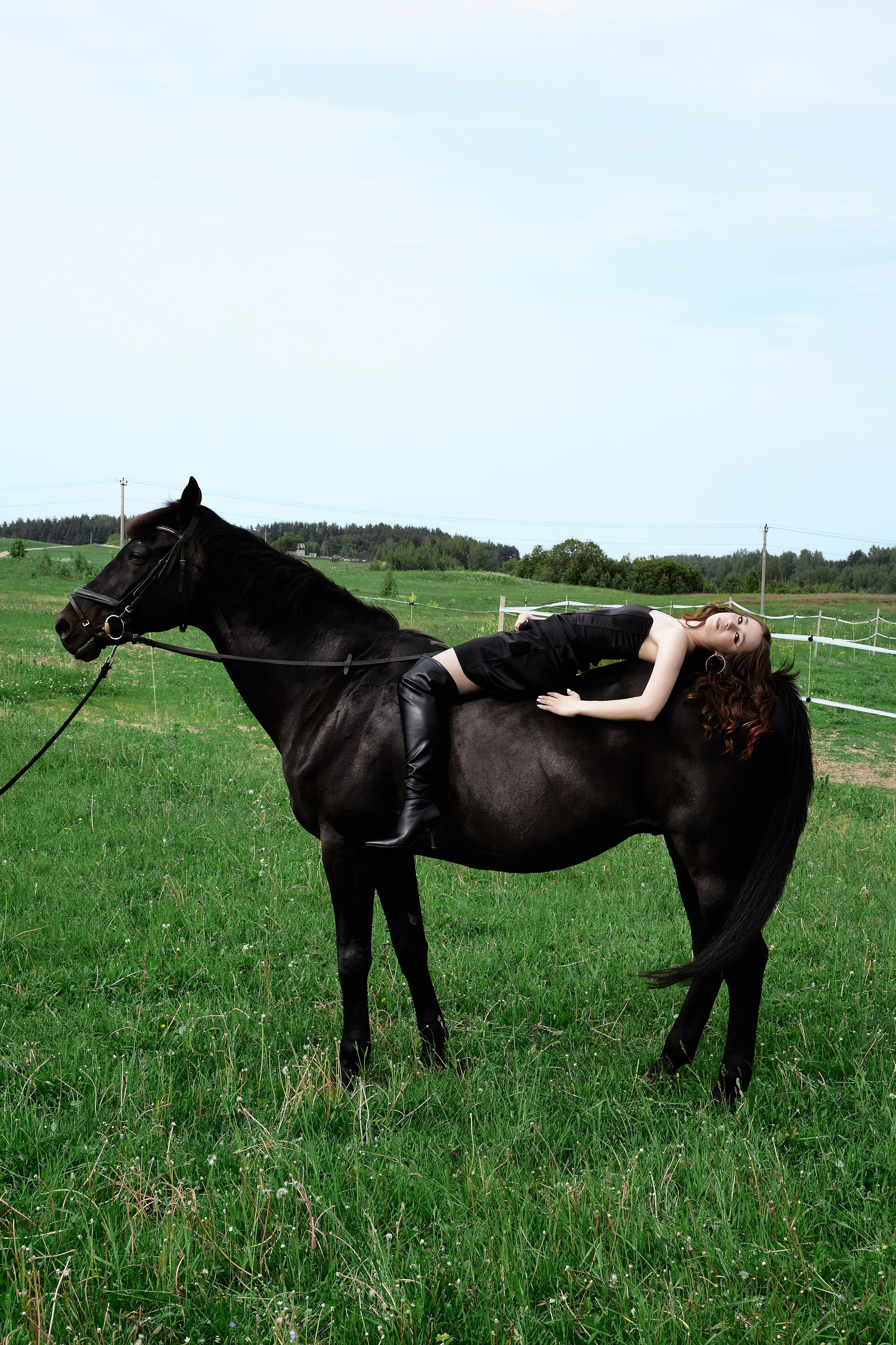 The black horse. Фотограф Надежда Куксина