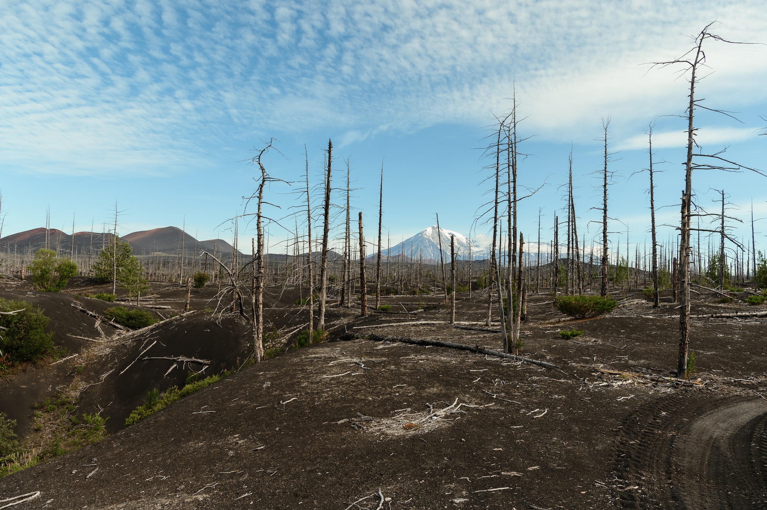 Камчатка 08.2024. Фотограф Марина Росси