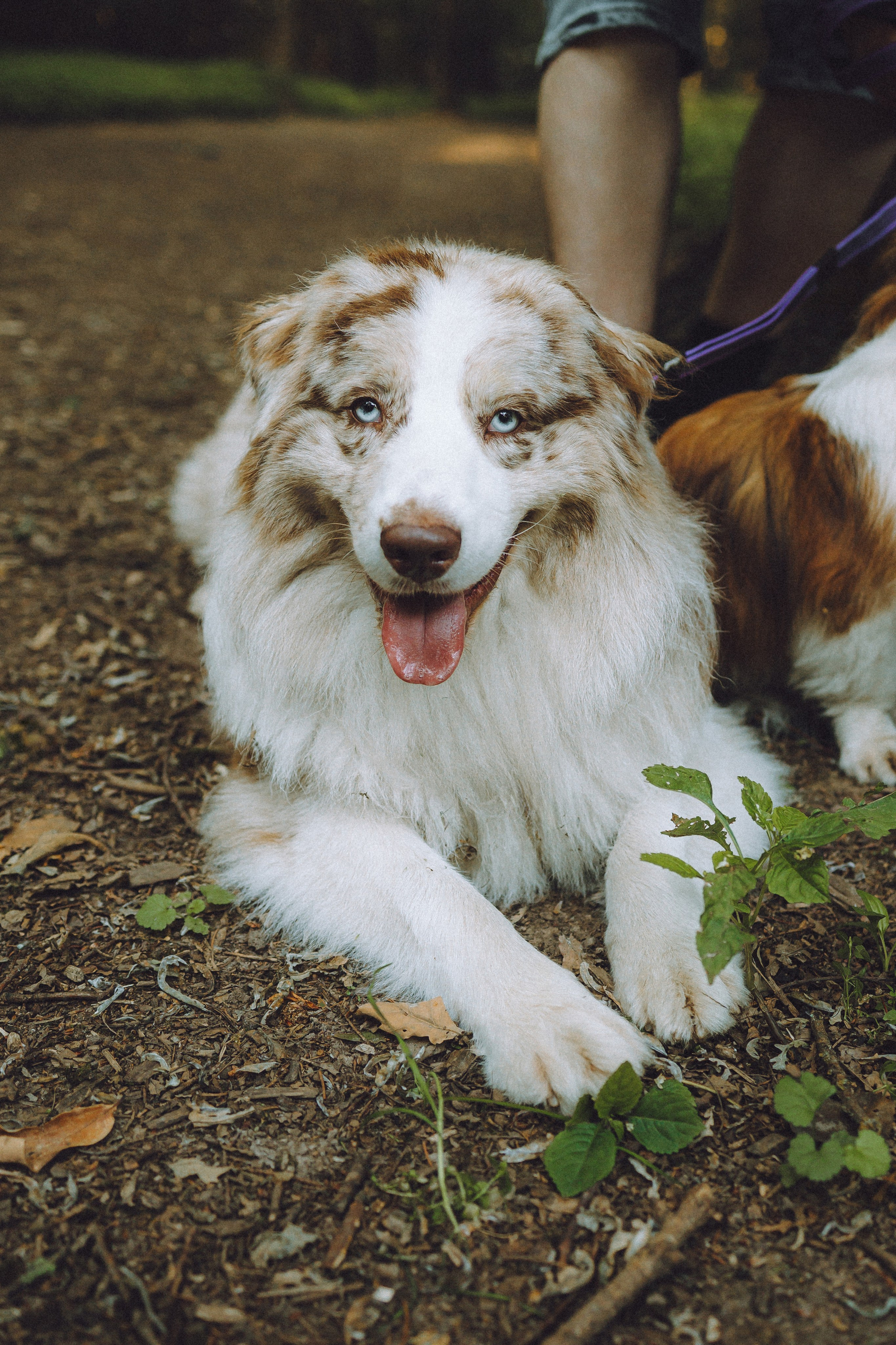 Катя, Андрей, Гектор, Ричи, Тортик и Трой