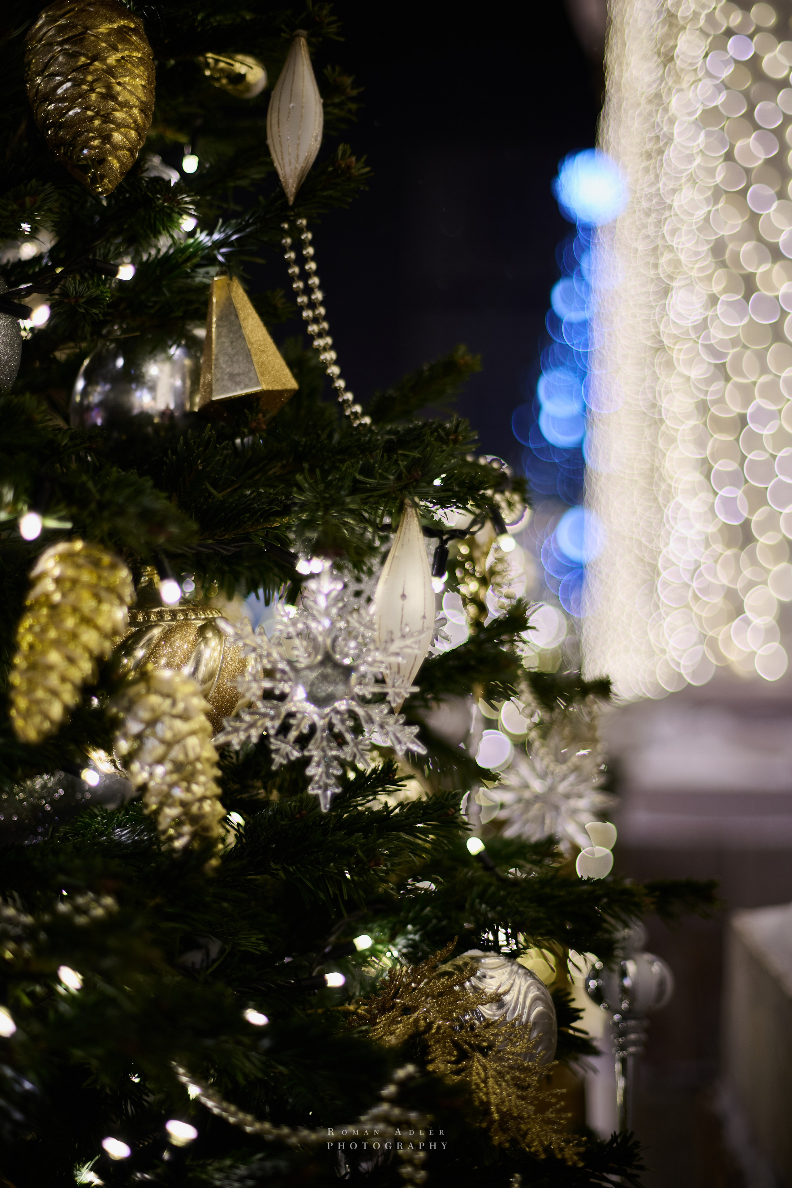 6-я выставка-форум Уникальная Россия. 2026. Фотограф Роман Адлер