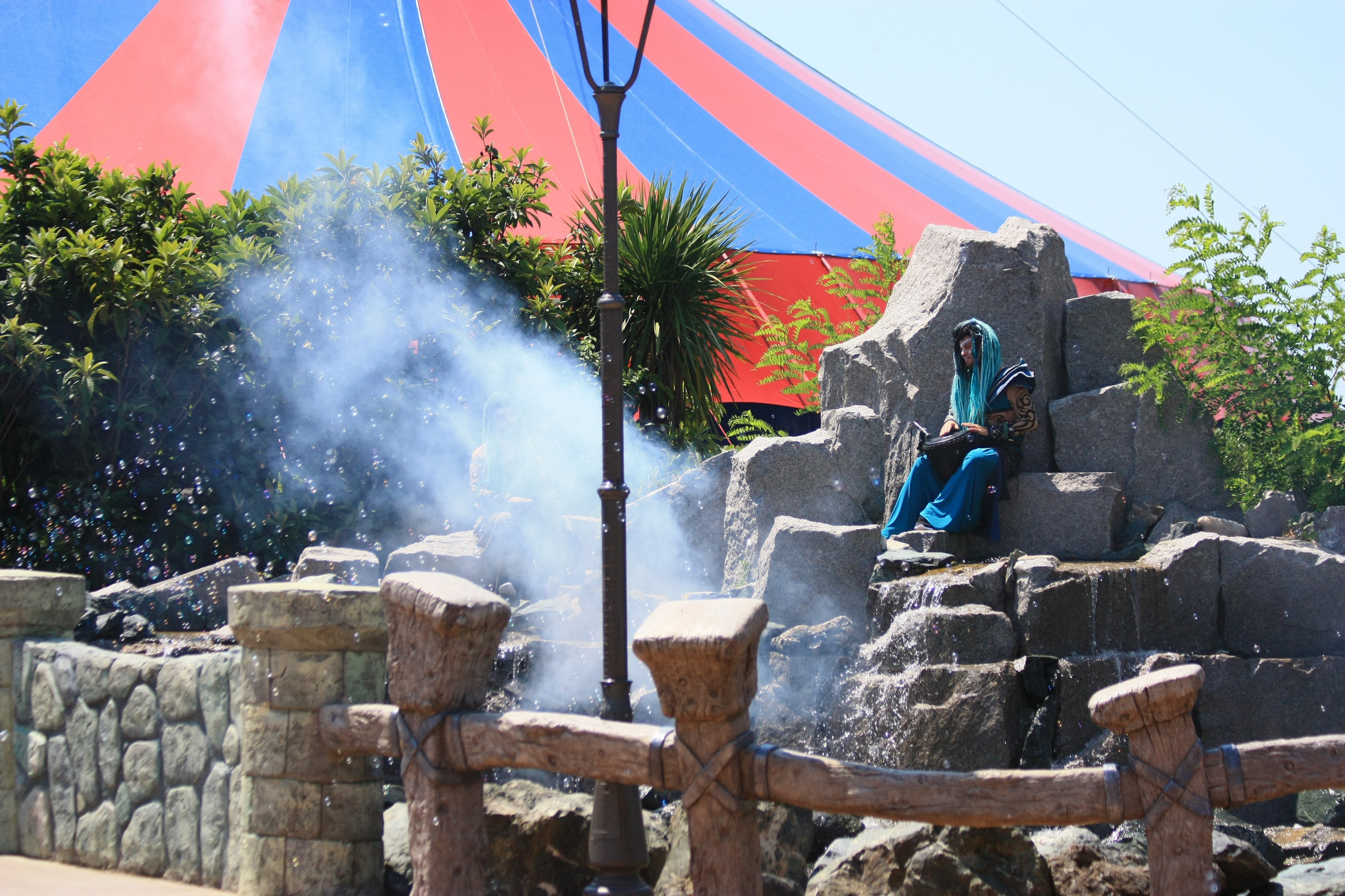 Первые кадры. Сочи — парк. Фотограф Роман Адлер