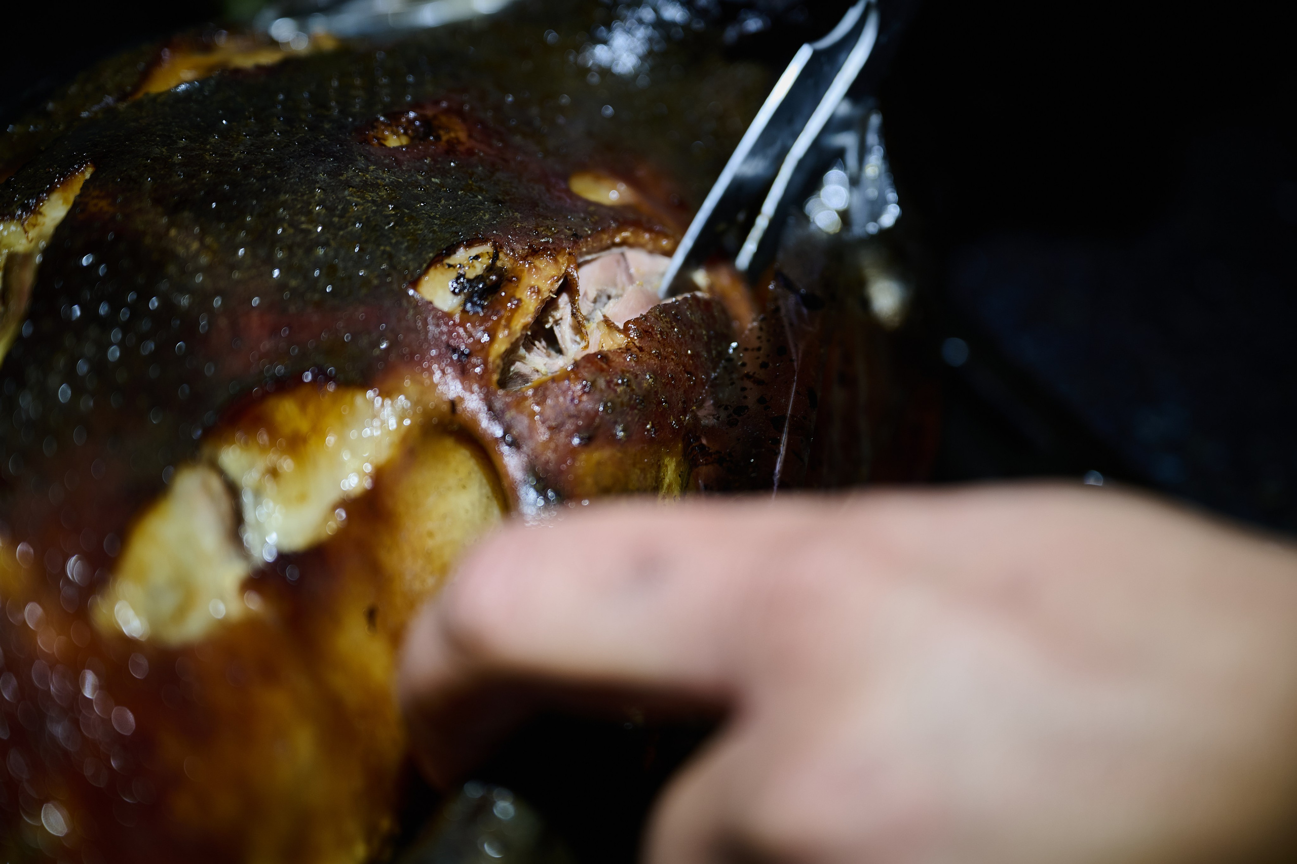 Новый 2025 год. Фотопроект Территории. Фотограф Роман Адлер