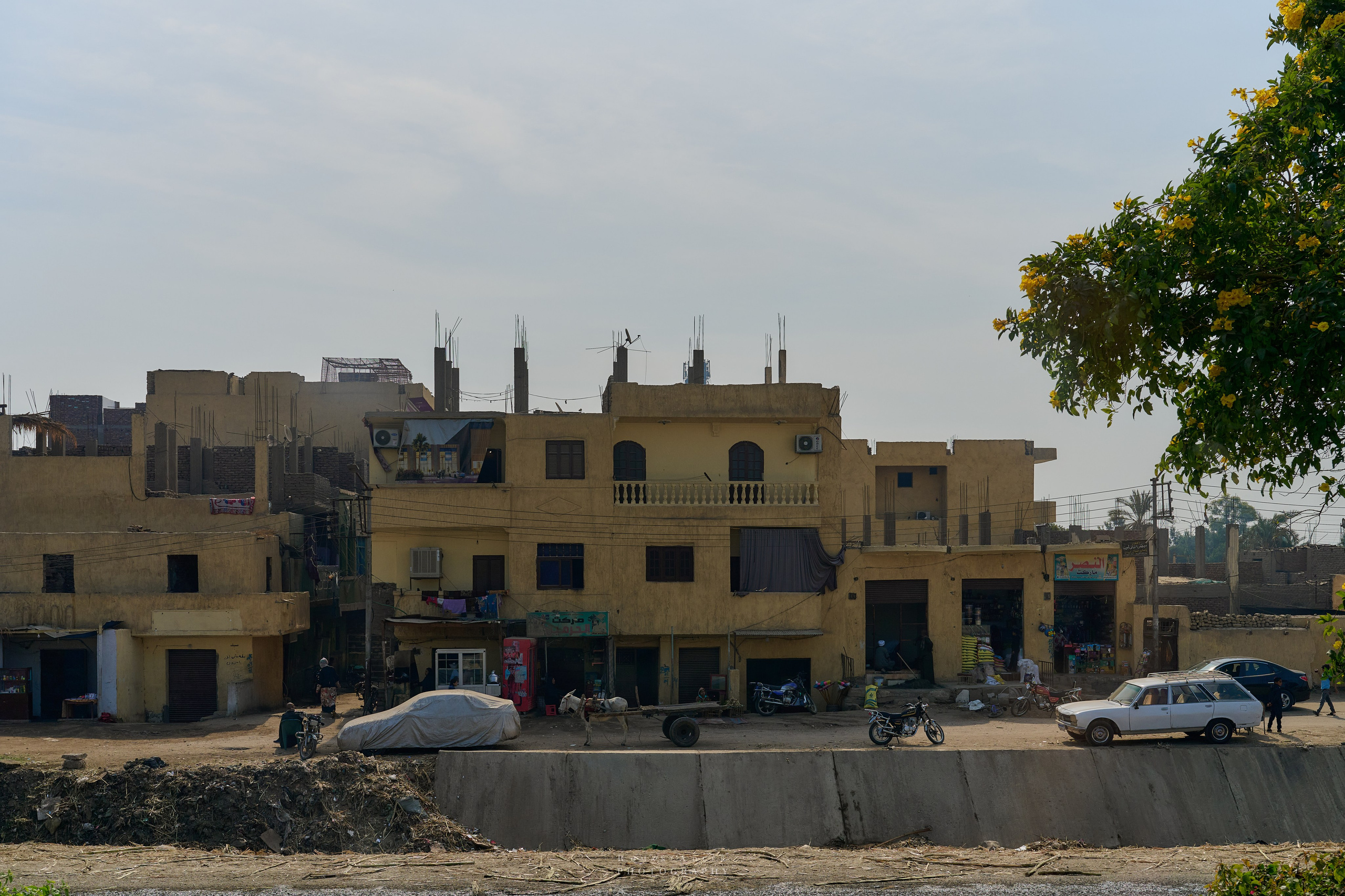 Луксор. Февраль 2025. Фотограф Роман Адлер