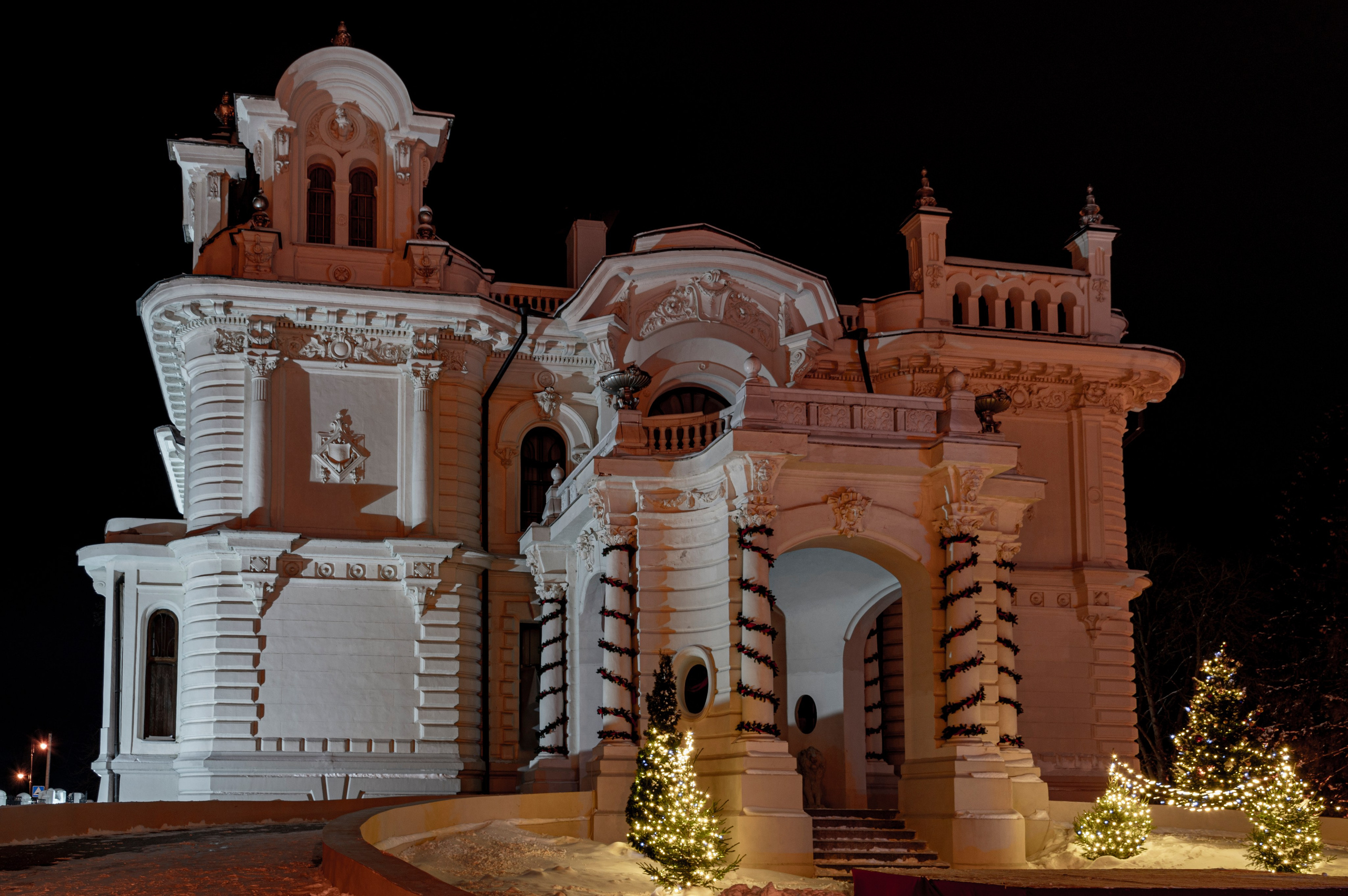 Январский Тамбов. 2024 год. Фотограф Роман Адлер