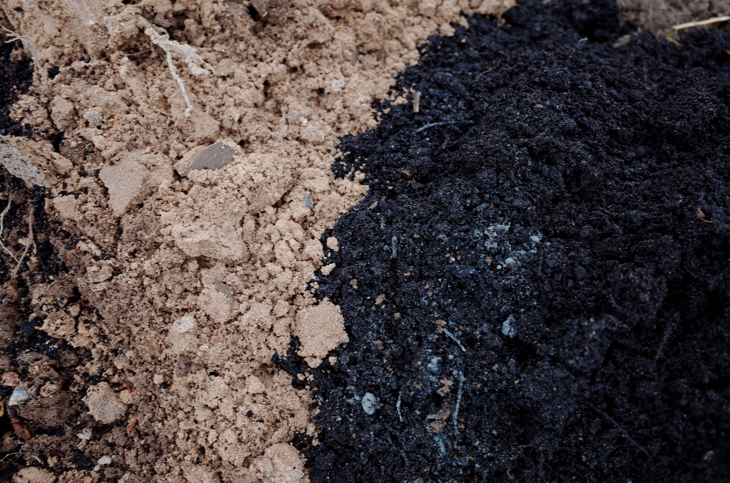 Farmers. Aleksander Chernov — Documentary filmmaker and photographer