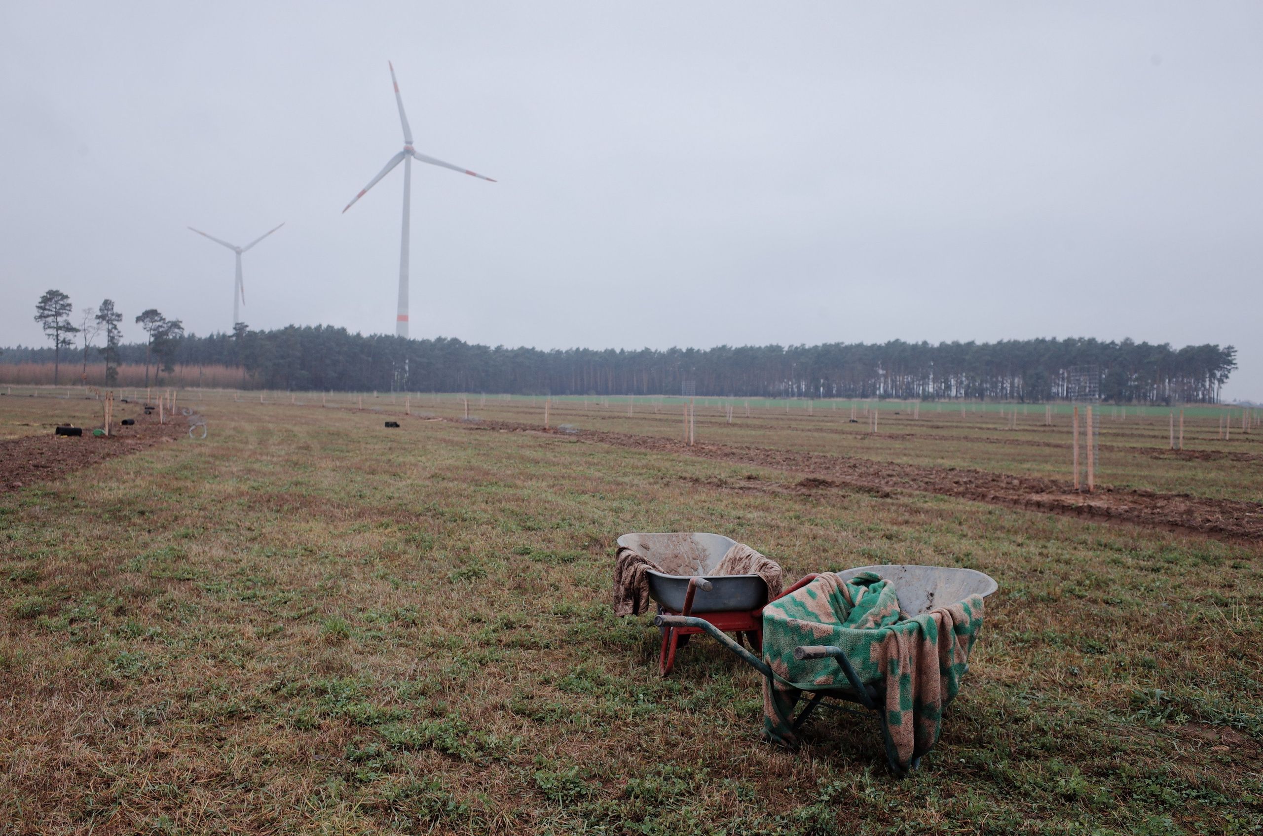 Farmers. Aleksander Chernov — Documentary filmmaker and photographer