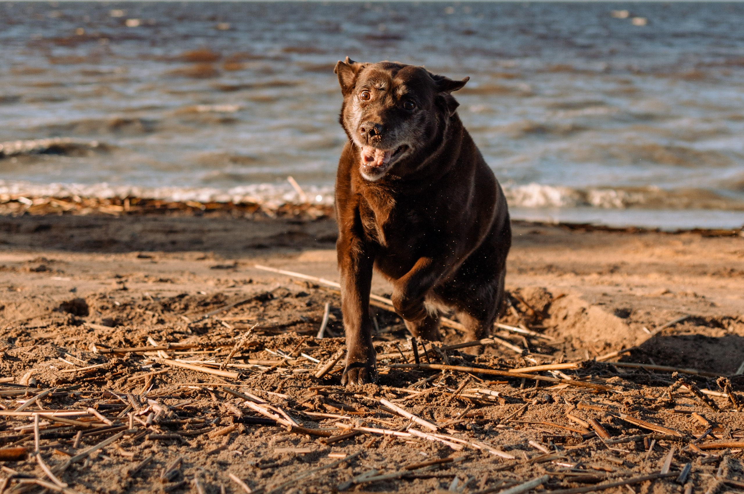 Оля и Питоня. Фотограф — Анималист | Санкт-Петербург