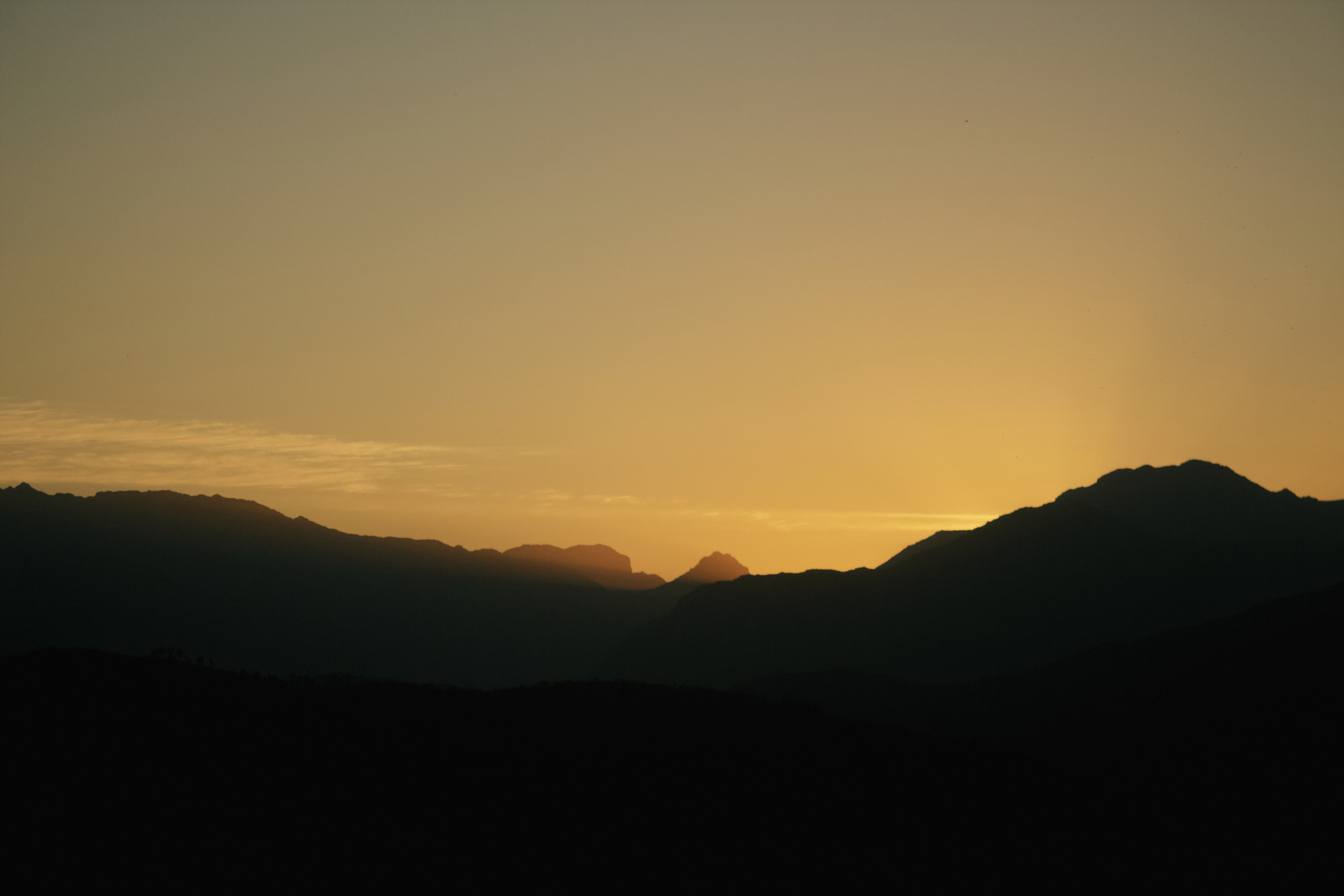 ЮАР. Профессиональный Фотограф во Владимире, в Москве и в Суздале — Полина Романычева