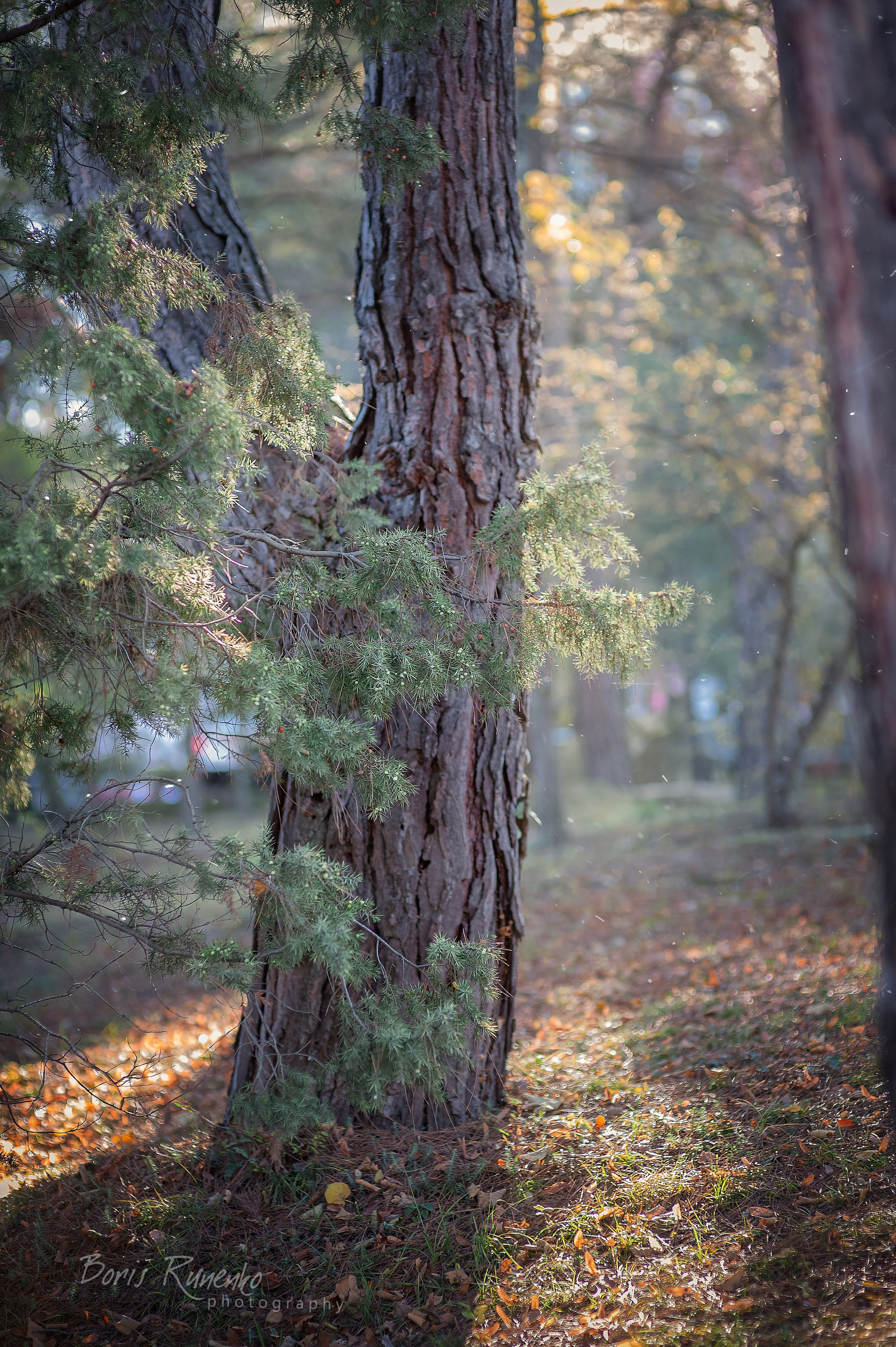 ЧЕРНОМОРСКОЕ ПОБЕРЕЖЬЕ. ОСЕНЬ. Борис Руненко. Пейзажный и travel-фотограф