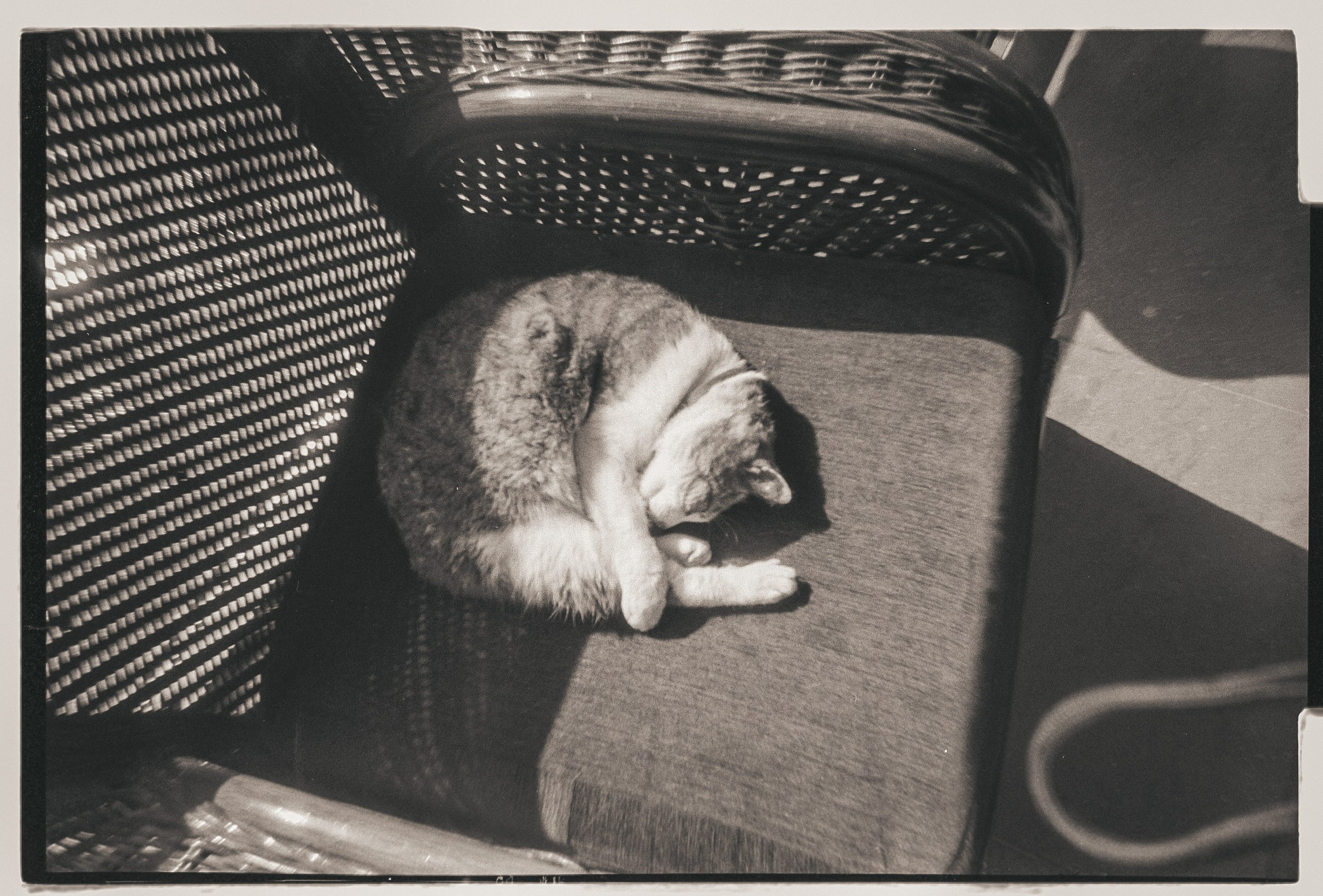 Летняя мастерская КВН, ч/б плёнка, июль 2025. Фотограф в Ярославле Ольга Пыненкова