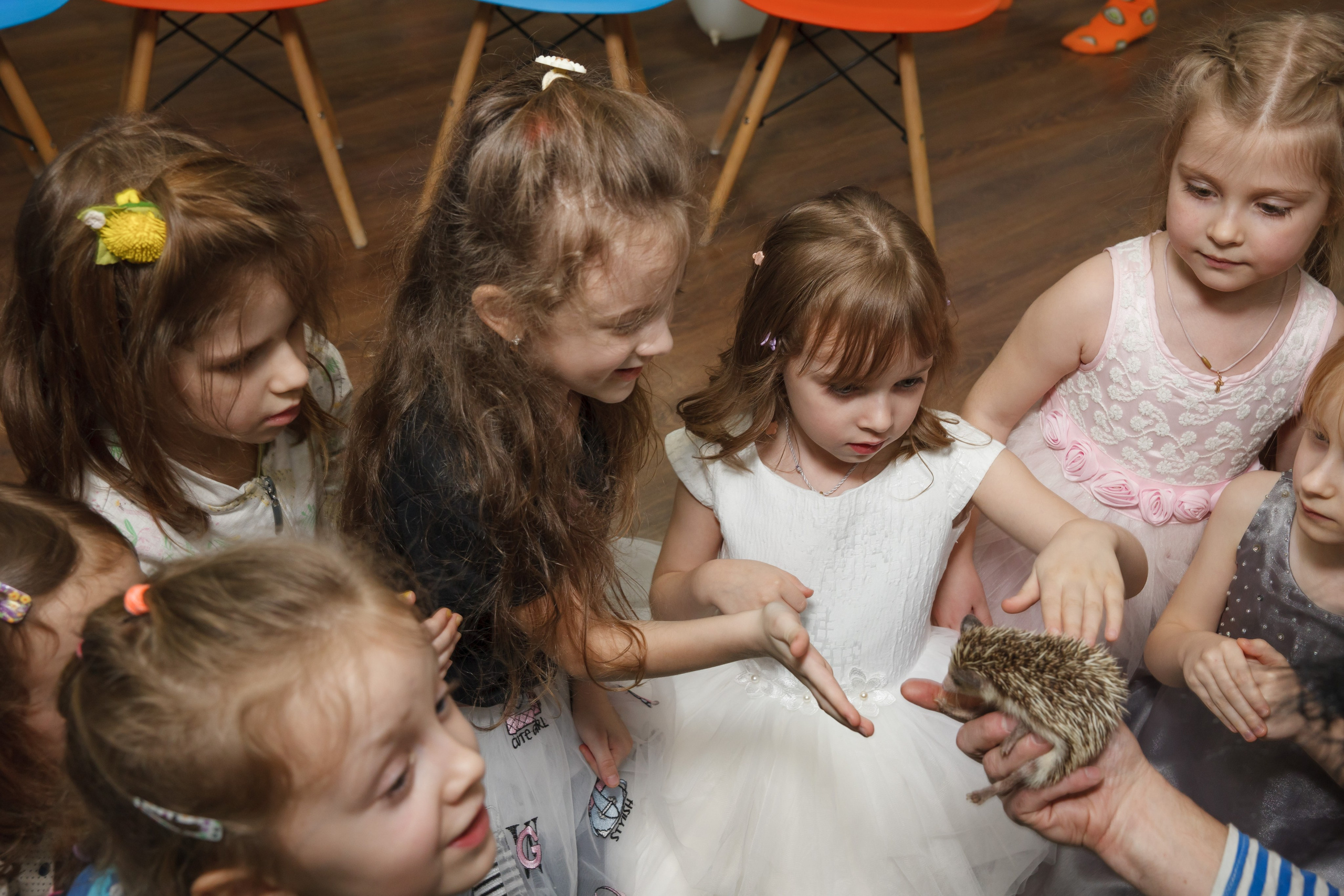 День рождения Егора, 6 лет, «Мультяшка». Свадебный и репортажный фотограф (Москва, Королев и другие)