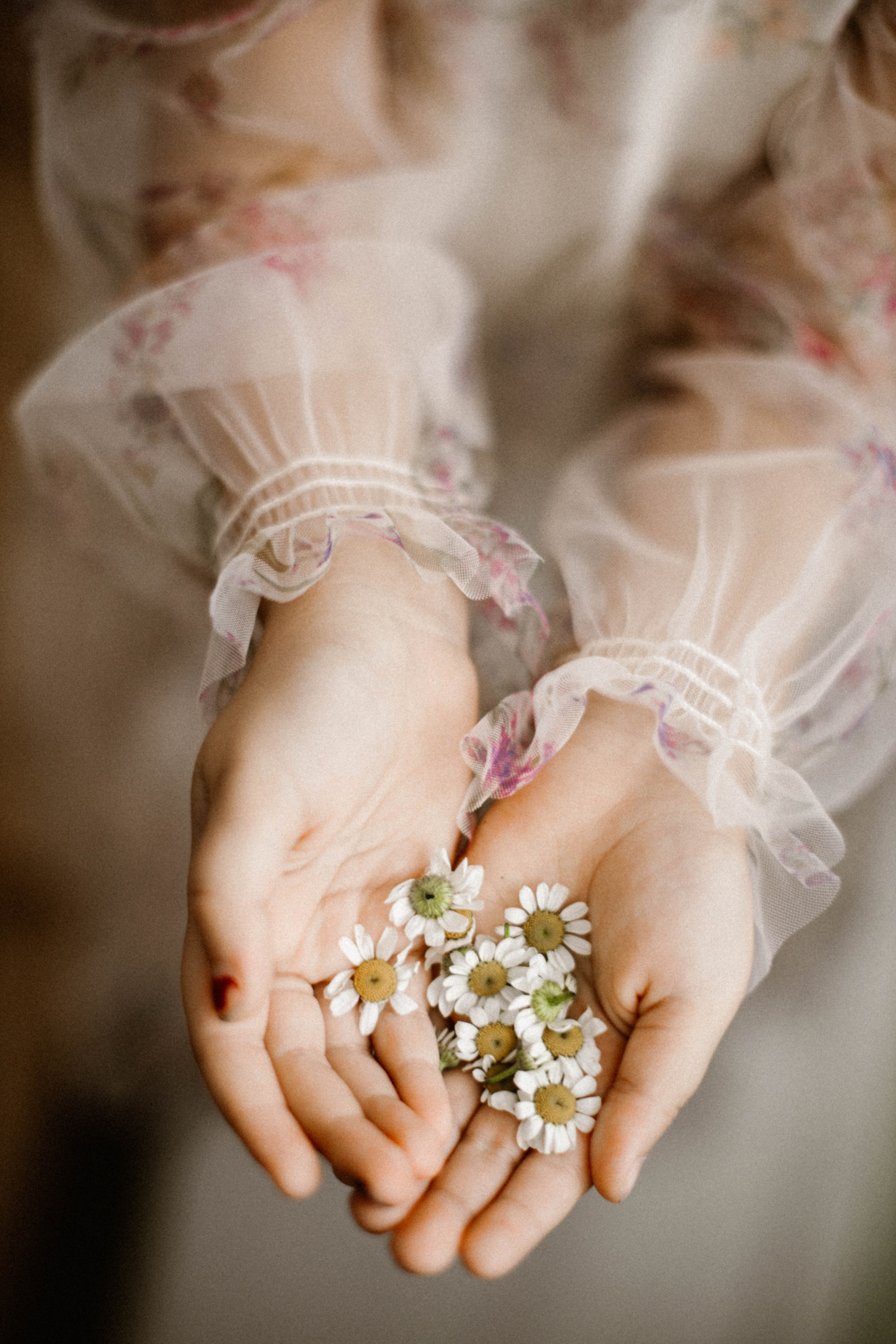 ДОМАшняя фотостудия. Фотограф в Нижнем Новгороде