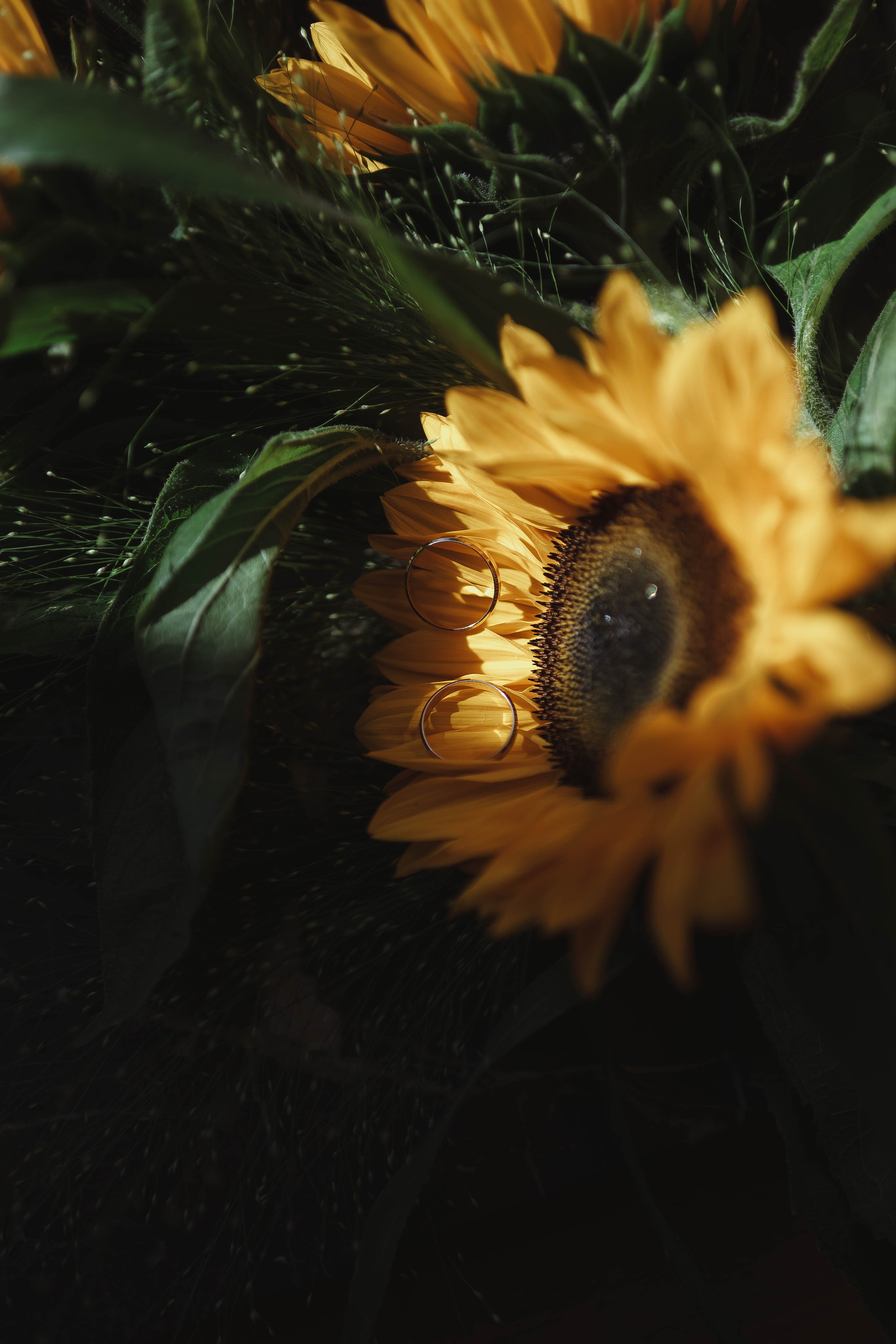 Самая яркая свадьба лета. Свадебный фотограф Татьяна Лейн в Санкт-Петербурге