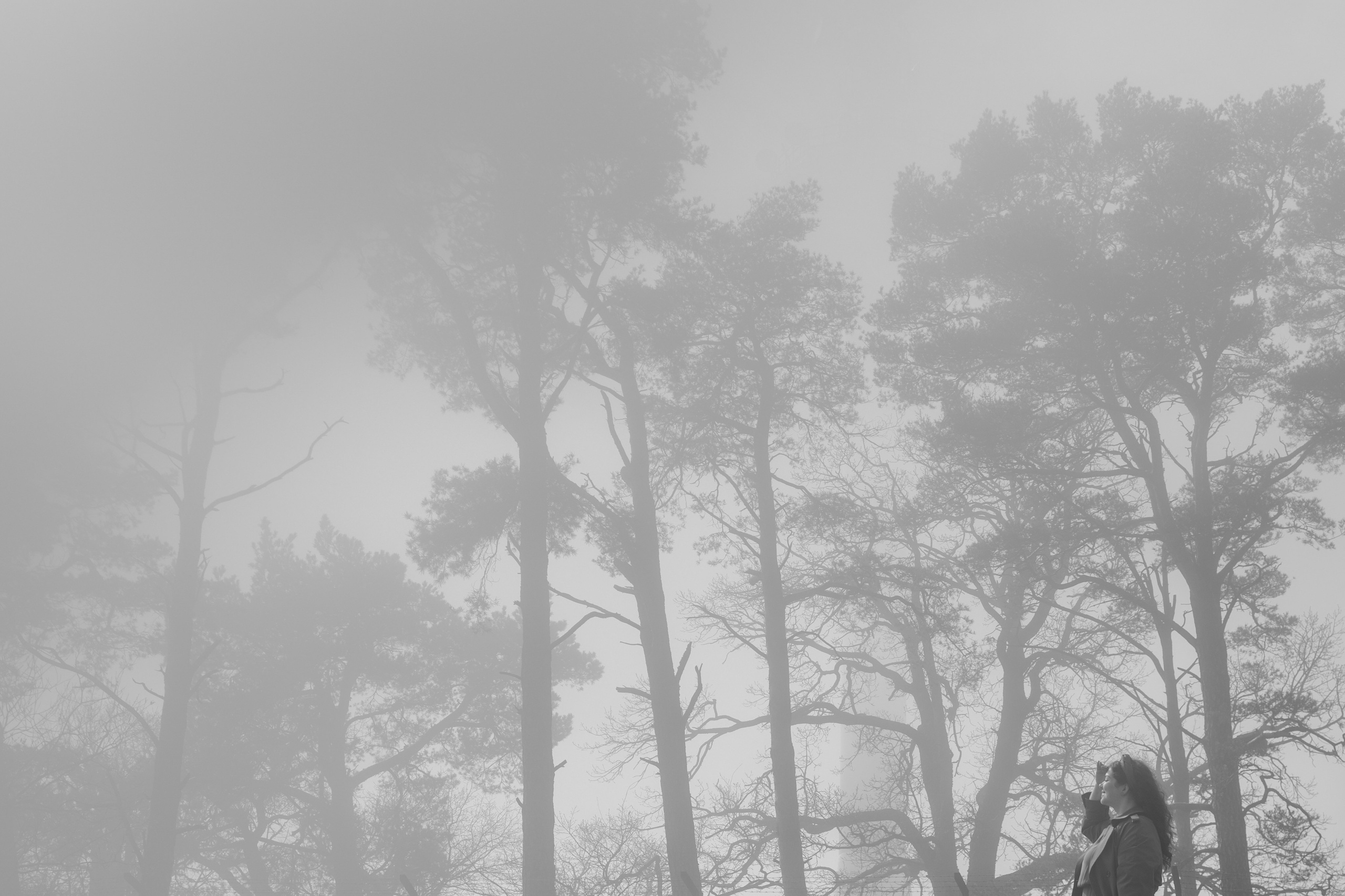 Эстетика П р о Я в л е н и я. Виноградова Маргарита. Фотограф P r o Явления