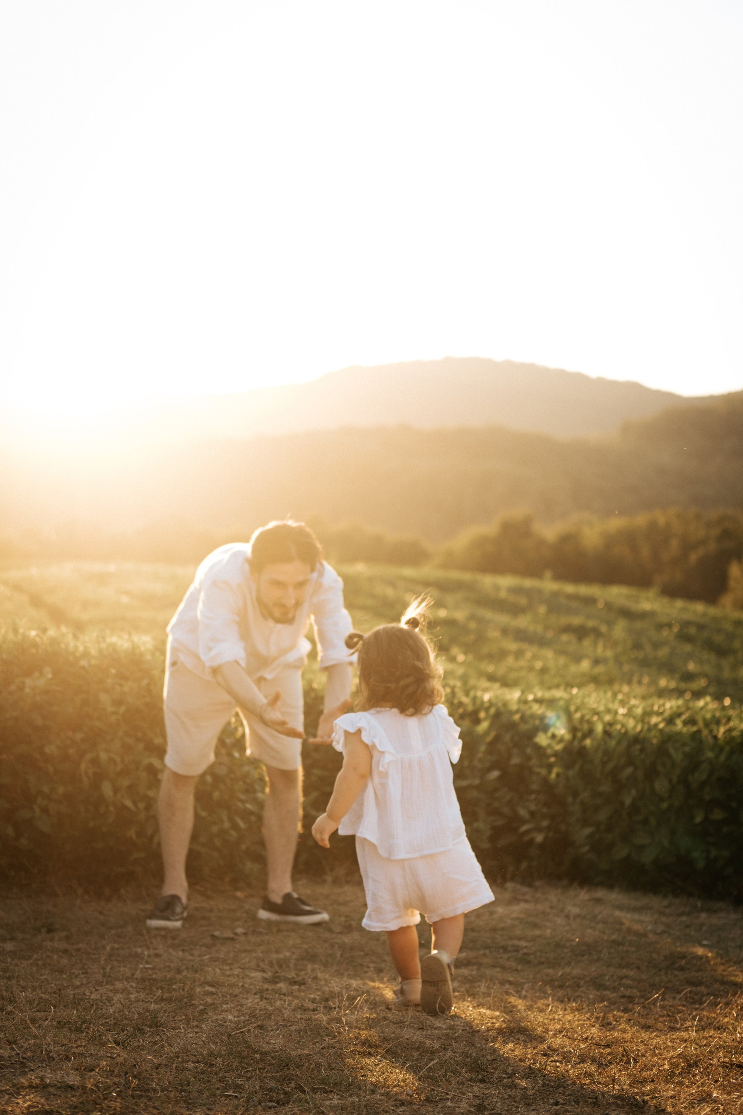 Плантации. Главная