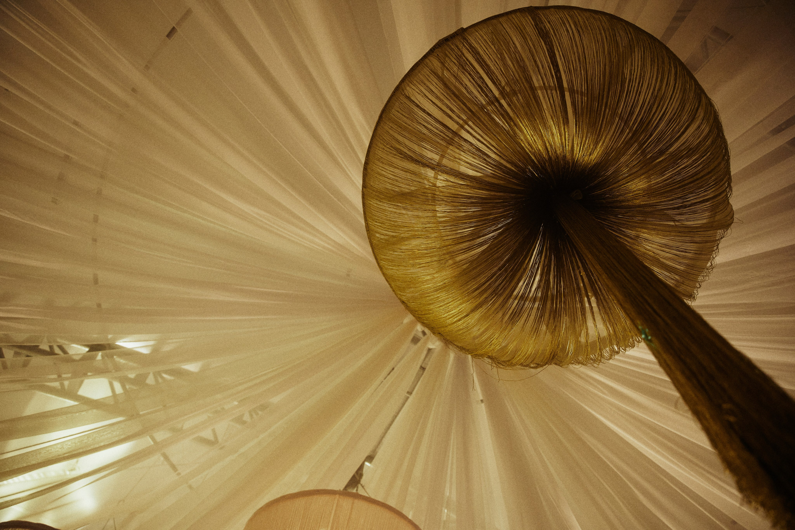 AMORE DA CINEMA. Дмитрий Мазуркевич: Профессиональный Репортажный Фотограф