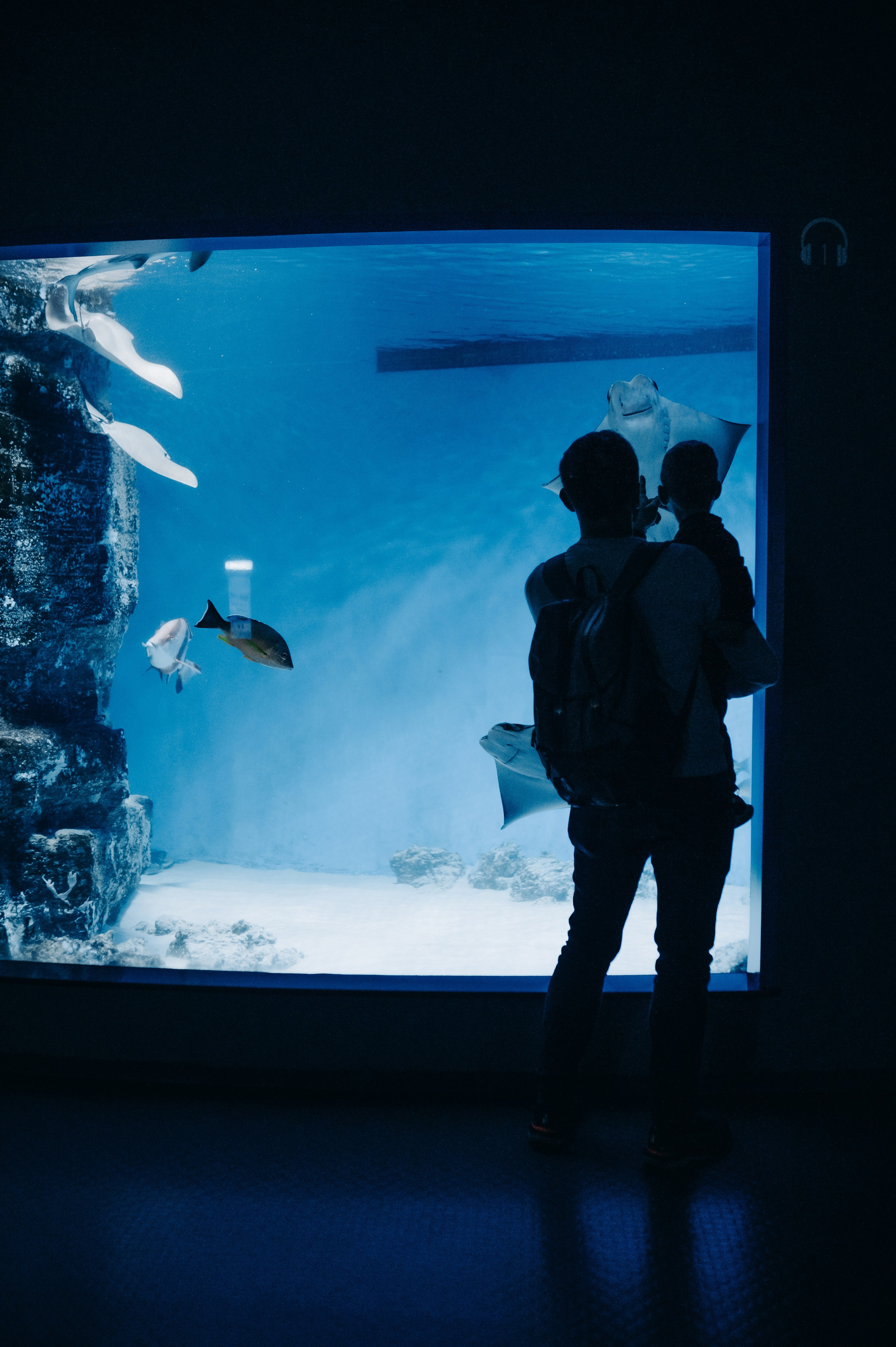 Маленький человек среди огромных рыб. Главная