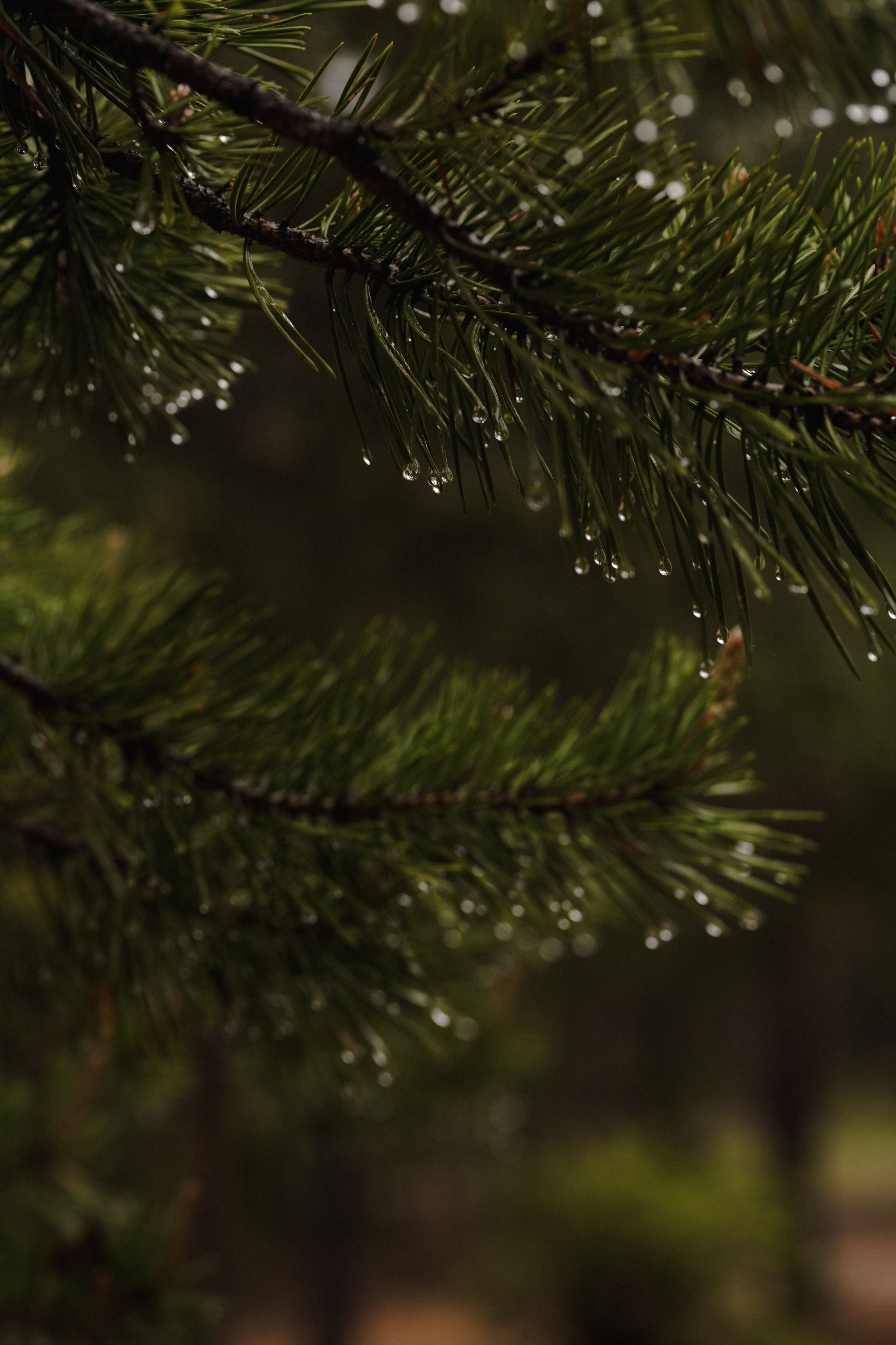 BAIKAL 06|24. Фотограф Виктория Виноградова