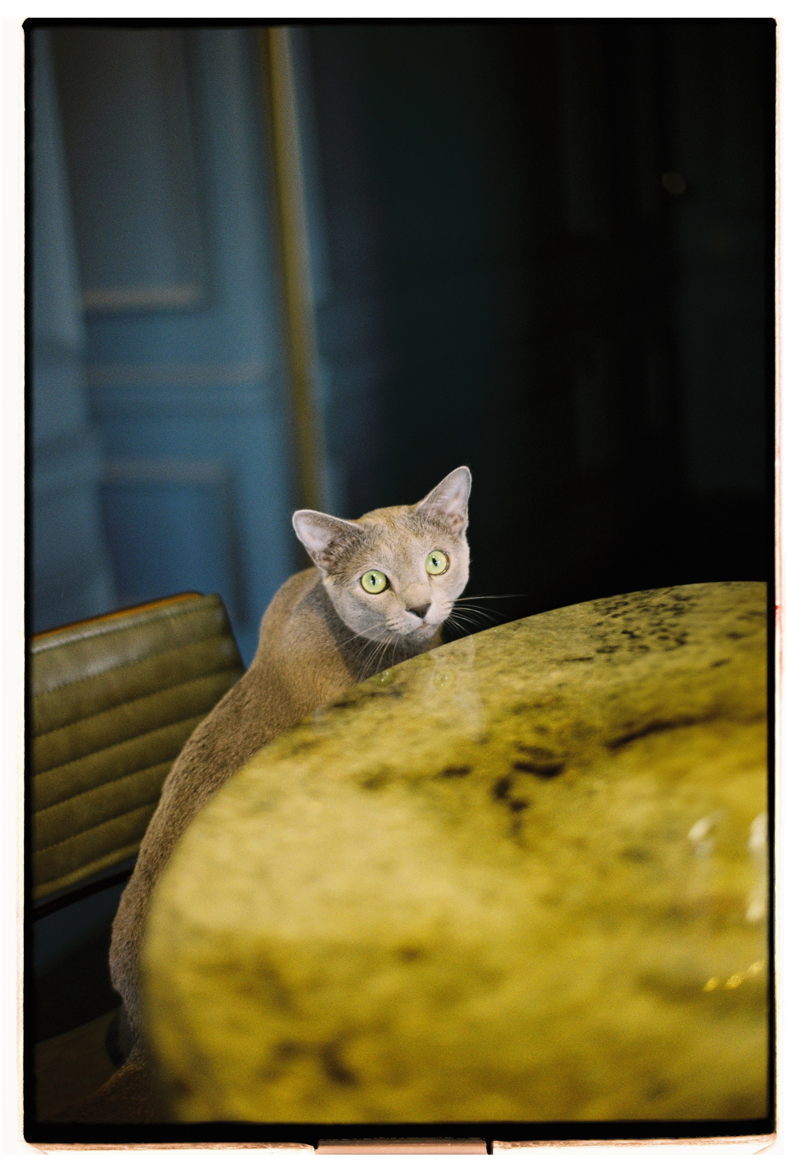 1000 и 1 история. Annbakhtina.com