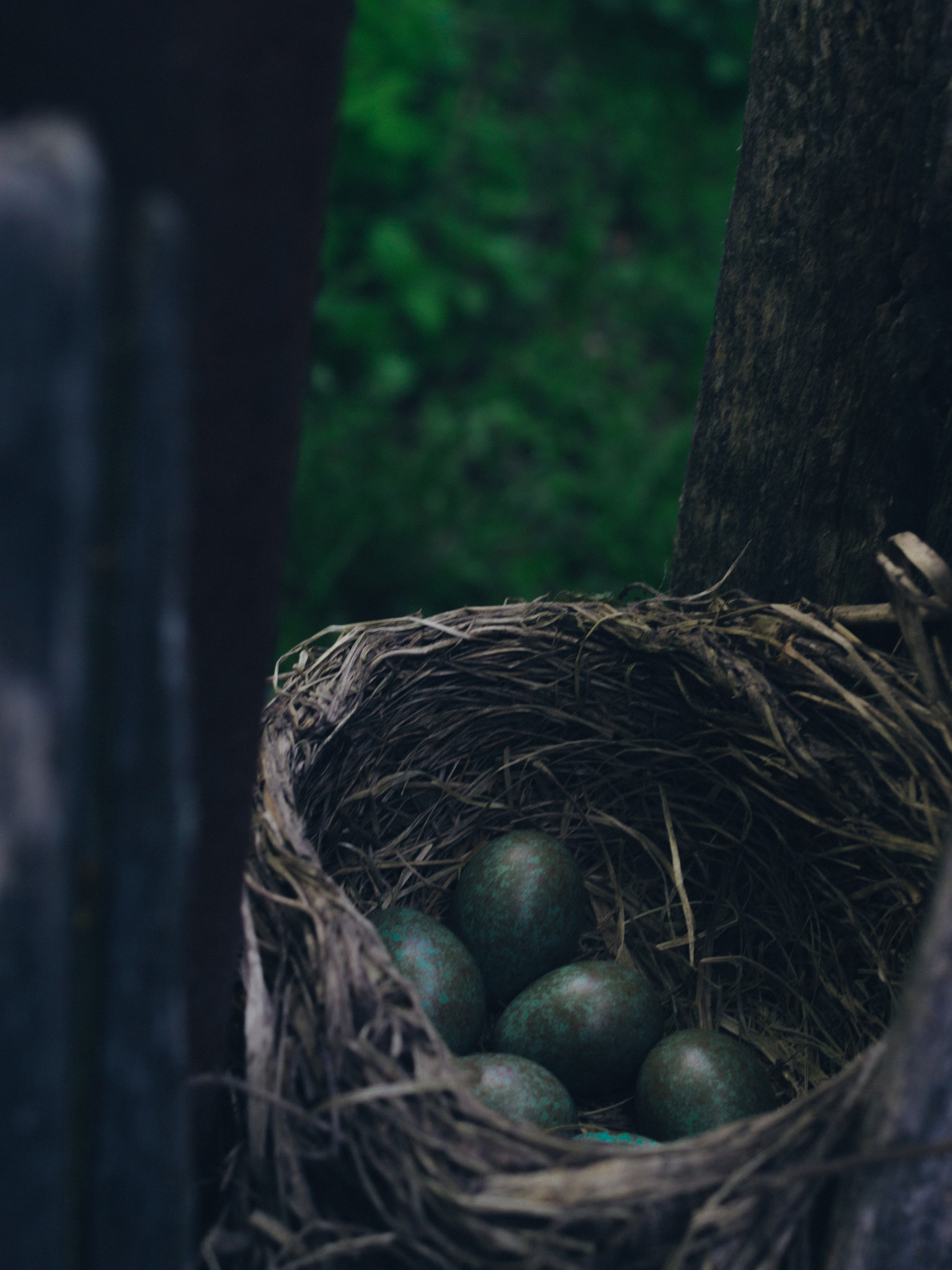 Ksenia. Индивидуальный фотограф в Саранске Светлана Капусткина