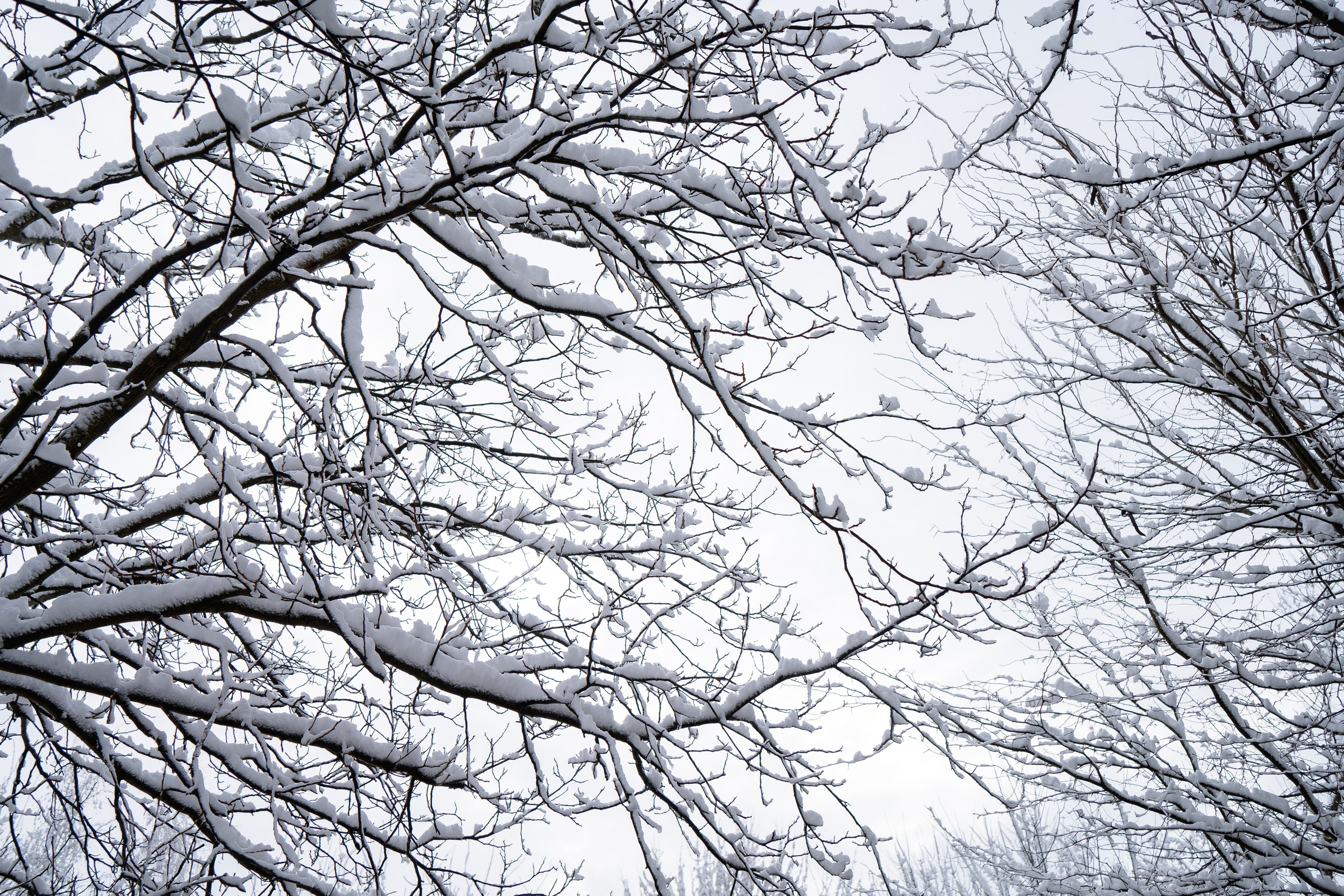 Зима 2024. Свадебный и семейный фотограф/видеограф в Краснодаре Наталья Осинская