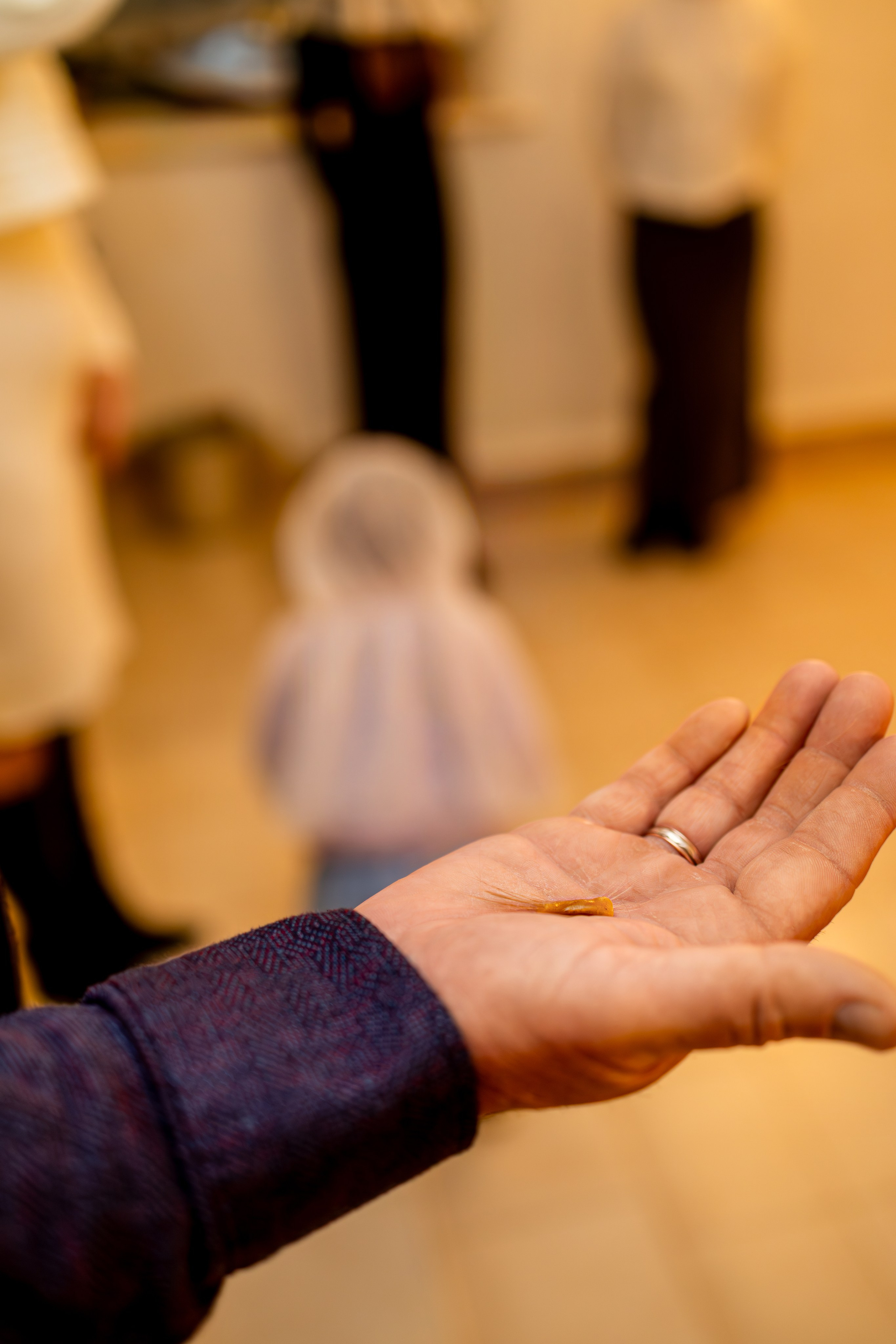 Крещение Льва. Фотограф Виктория Кравец