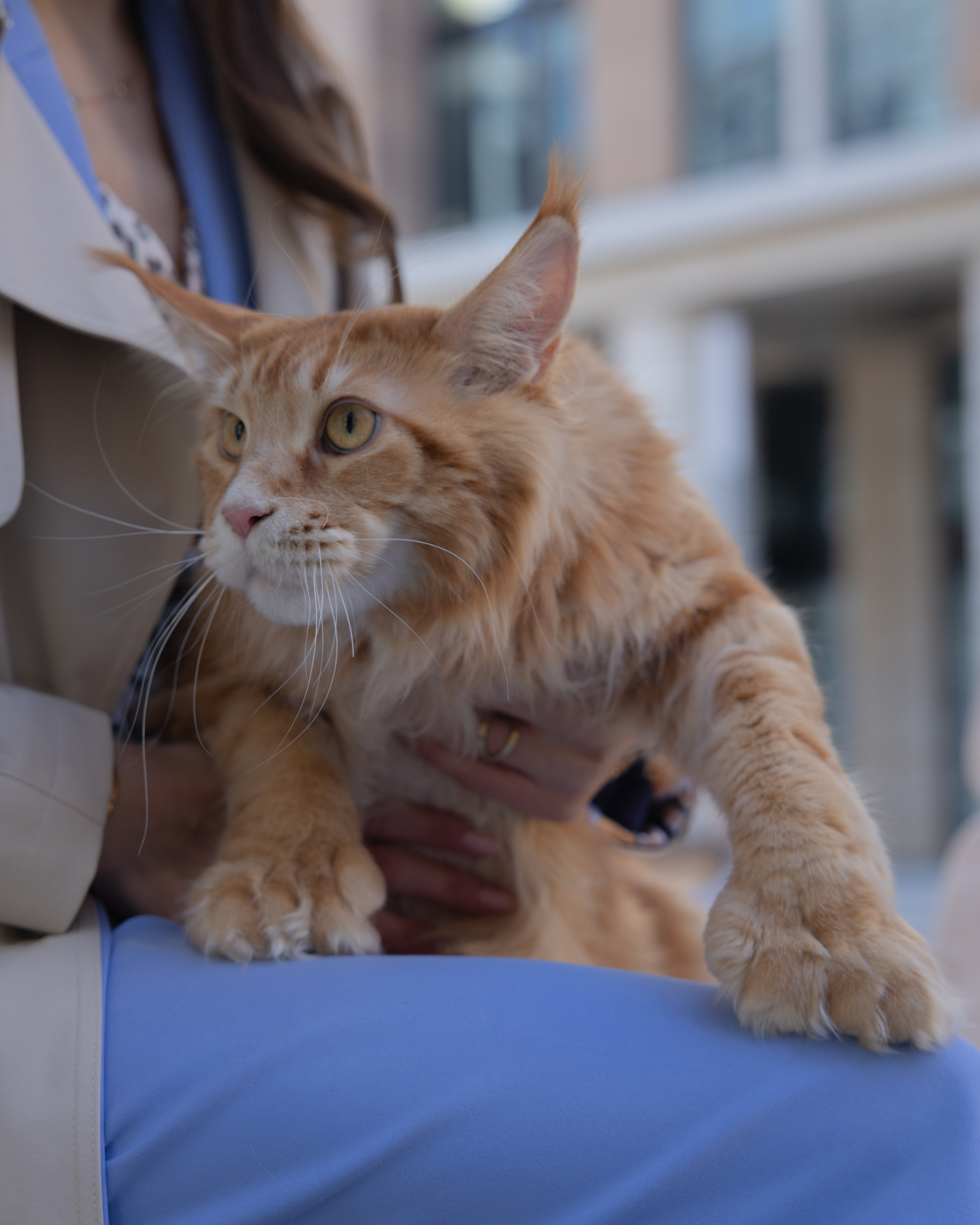 Контент съемка для соцсетей. Невская ратуша. Фотограф в Санкт-Петербурге Вагнер Юлия