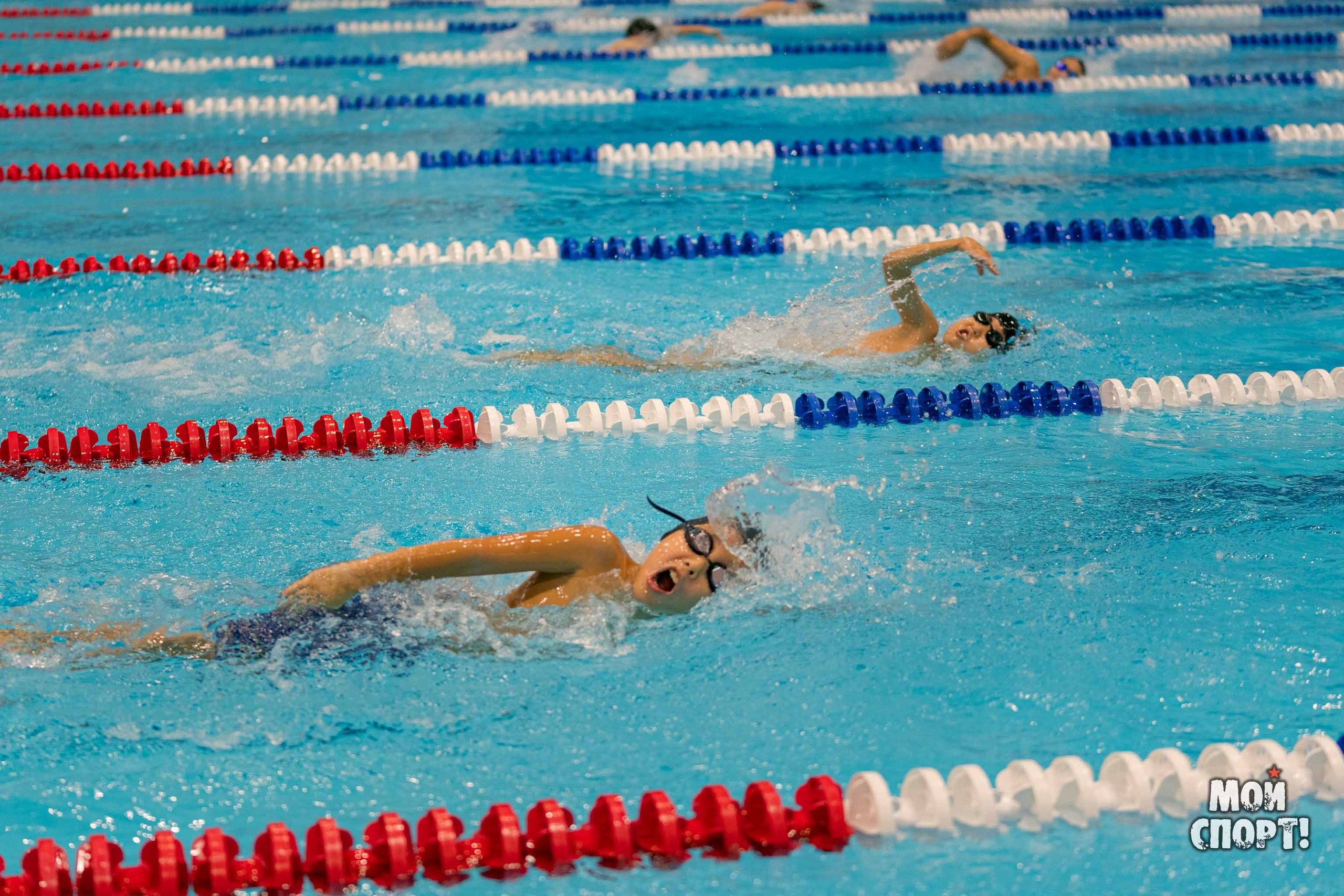 Соревнования по плаванию на призы Деда Мороза. Студия «Мой Спорт!» — все о спорте в Якутии