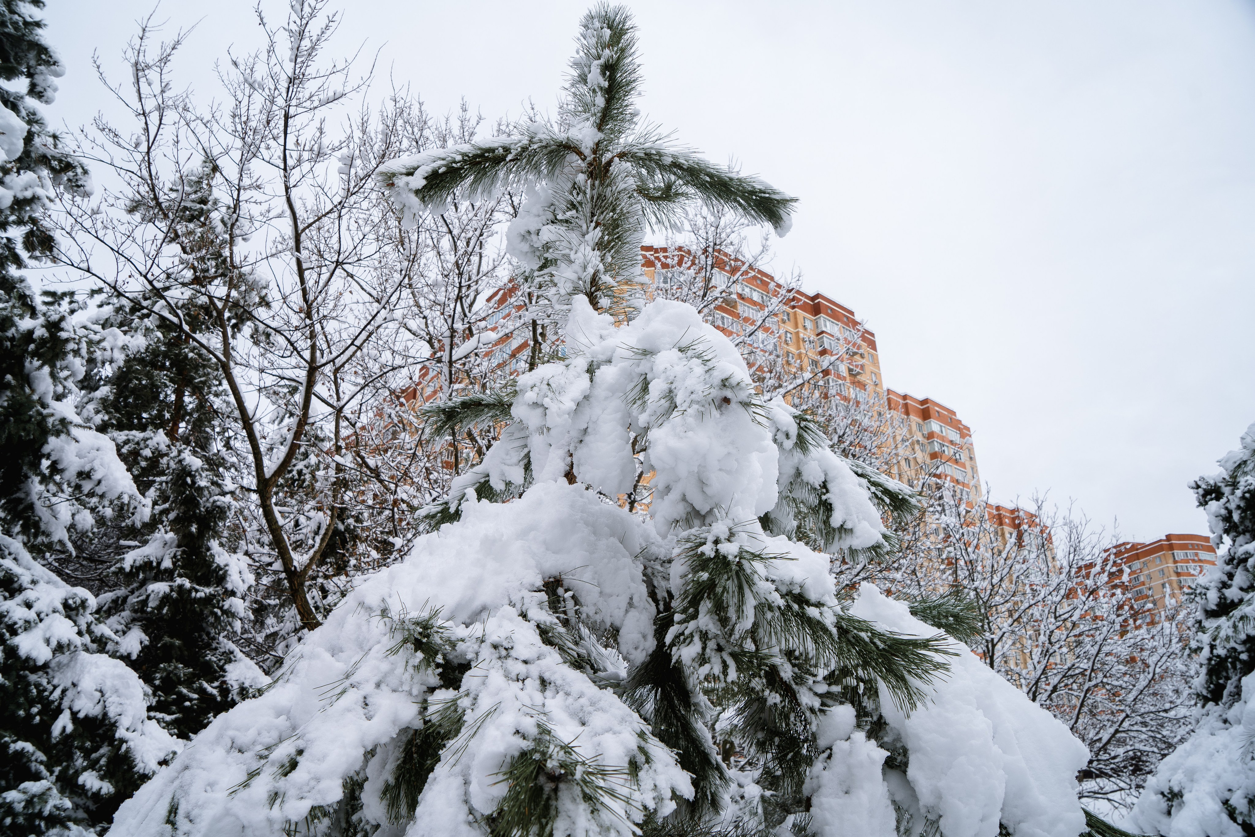 Зима 2024. Свадебный и семейный фотограф/видеограф в Краснодаре Наталья Осинская