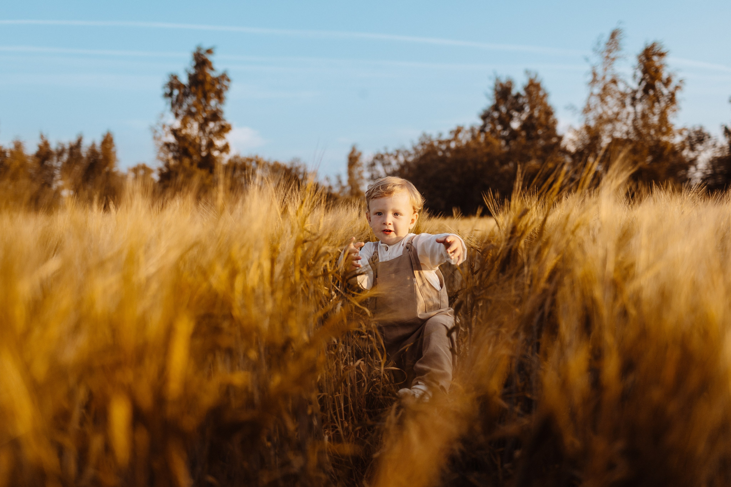 Золотое счастье. Фотограф Лодейное Поле Екатерина Герасимова в Санкт-Петербурге и Лен. области