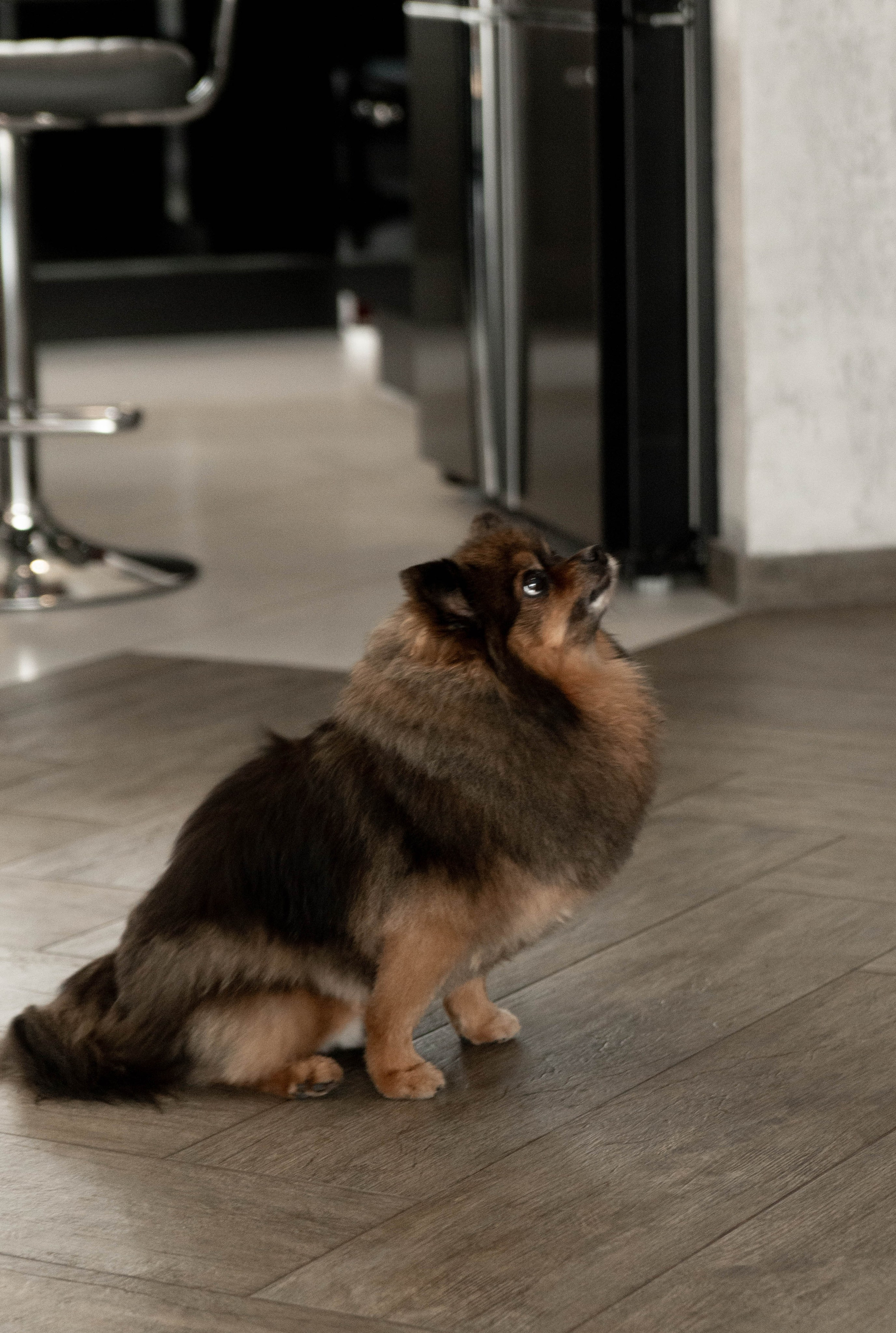 Вадим и София короткая версия свадебного дня. Меня зовут Александр Литвинчук и я свадебный фотограф в Саратове