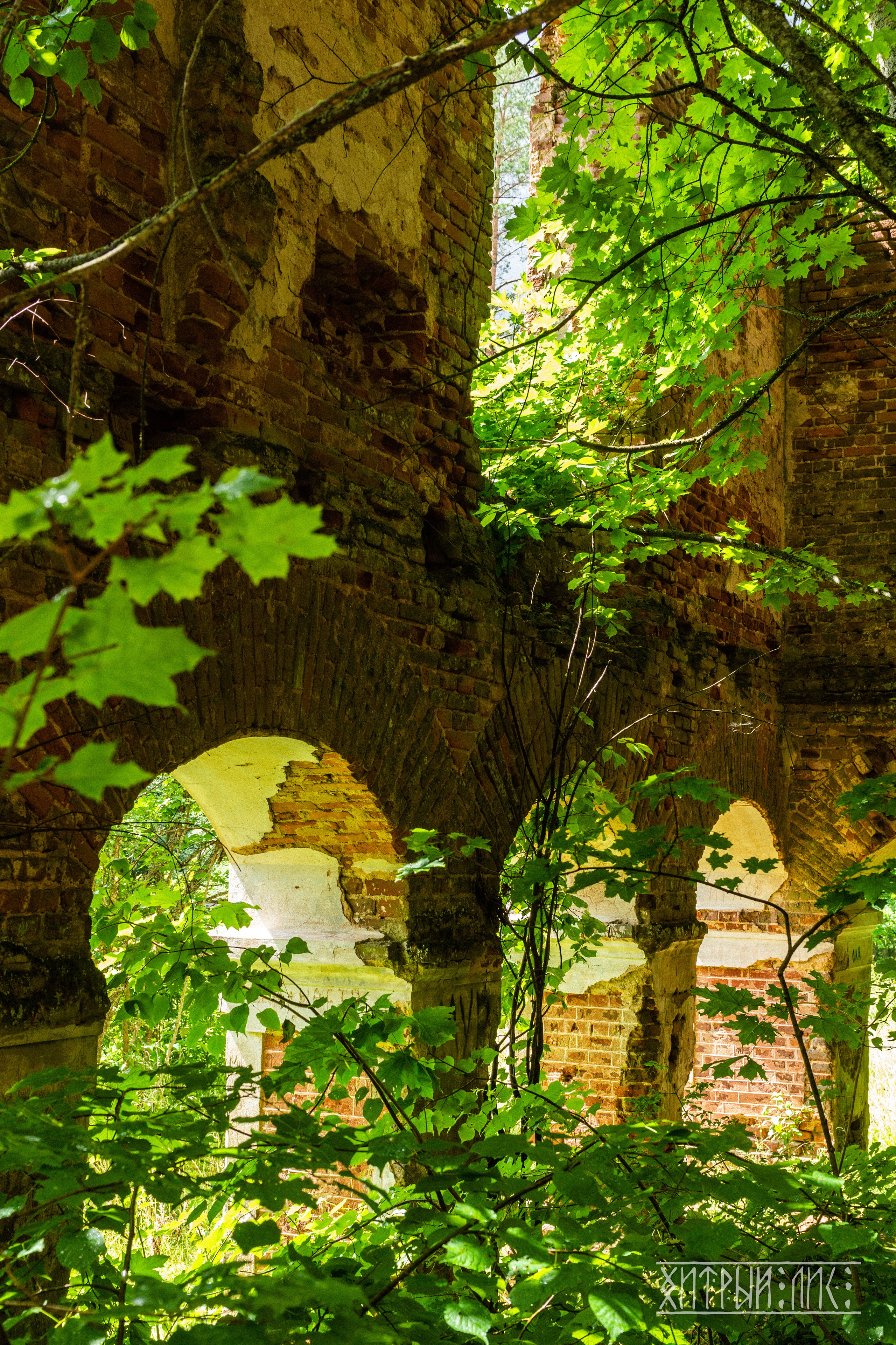 Беларусь. Фотограф-путешественник Самойлов Максим «Sly Fox»