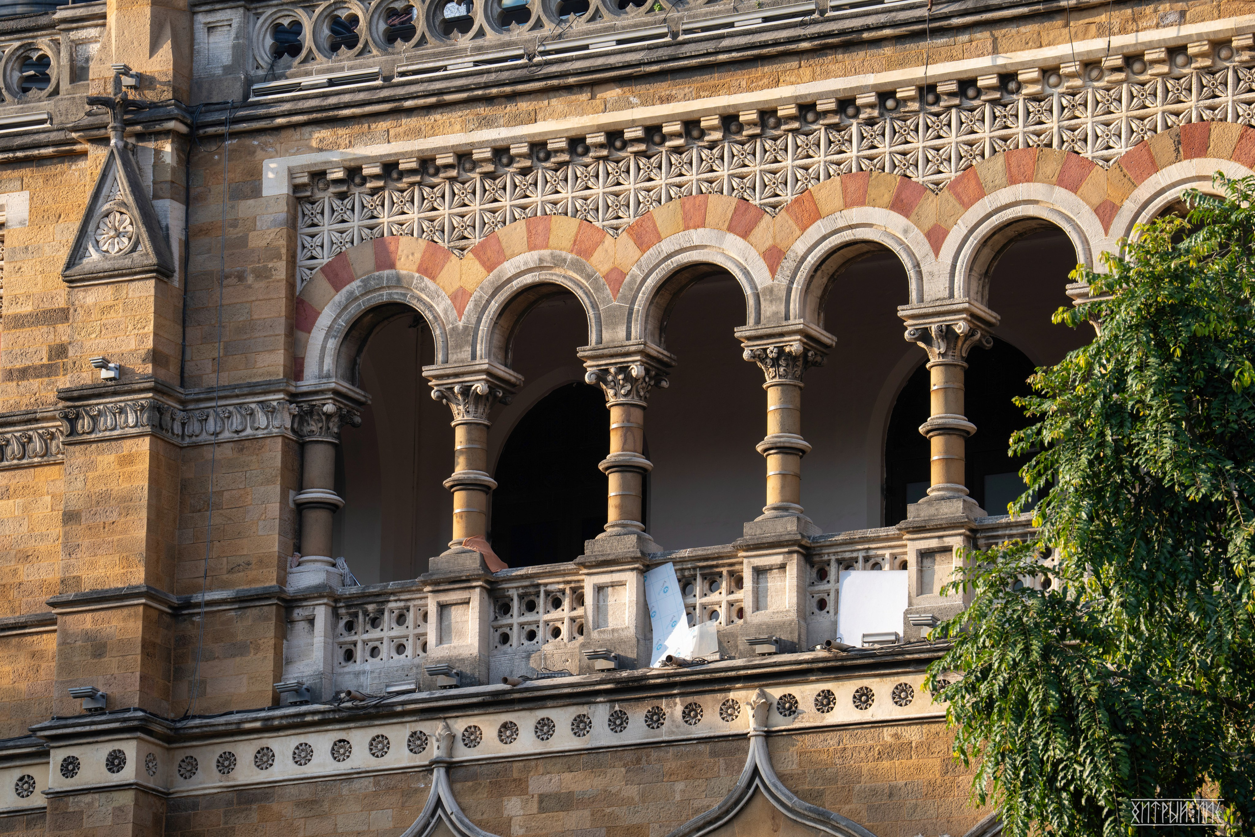 Гоа-Мумбаи. Фотограф-путешественник Самойлов Максим «Sly Fox»