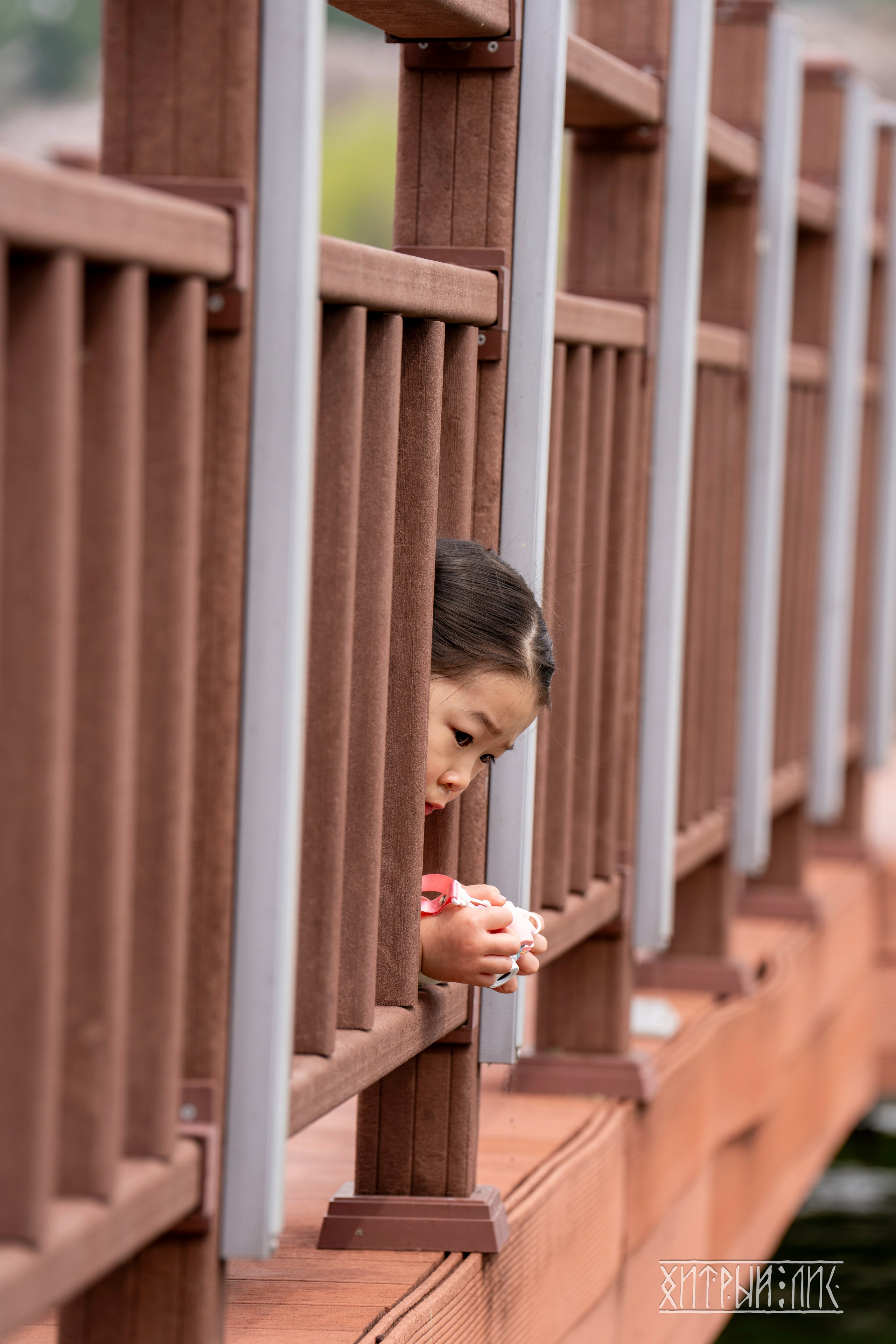 Южная Корея. Фотограф-путешественник Самойлов Максим «Sly Fox»