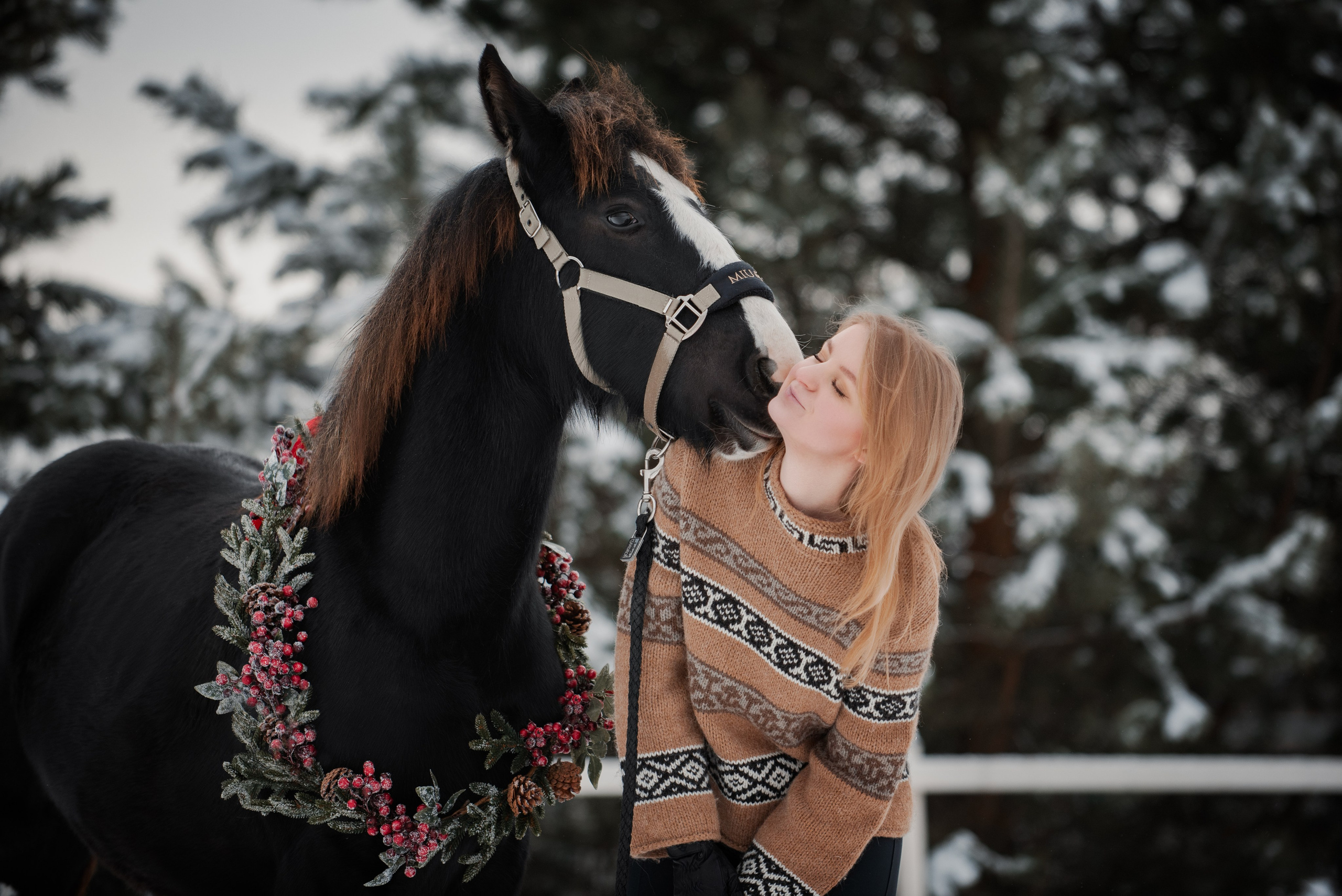 Зимний Настасьин табун. Куракина Дарья • Конный фотограф