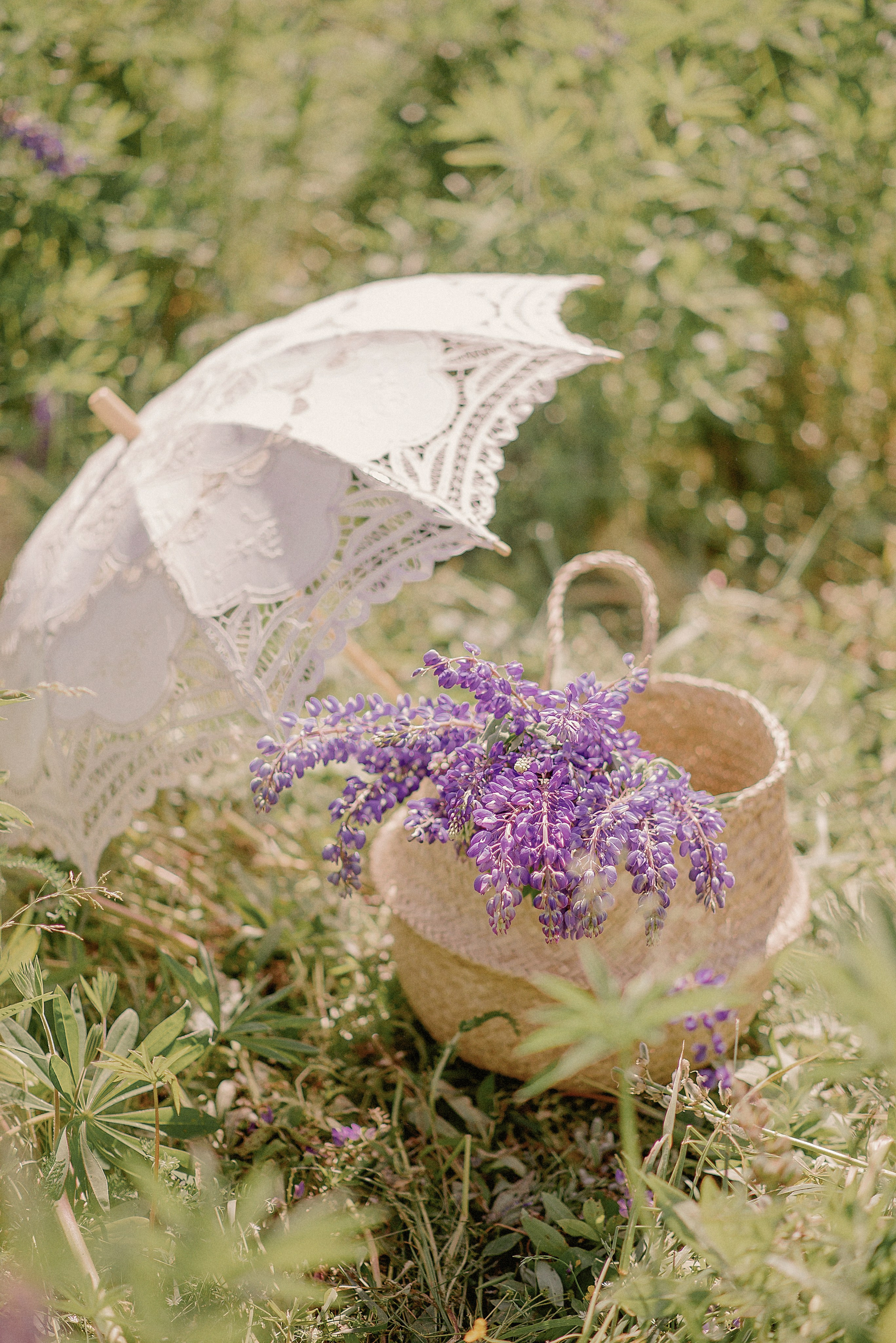 ПРОВАНС | ВЛАДА и АДЕЛЬ. Свадебный и семейный фотограф РИТА БОЧКАРЁВА