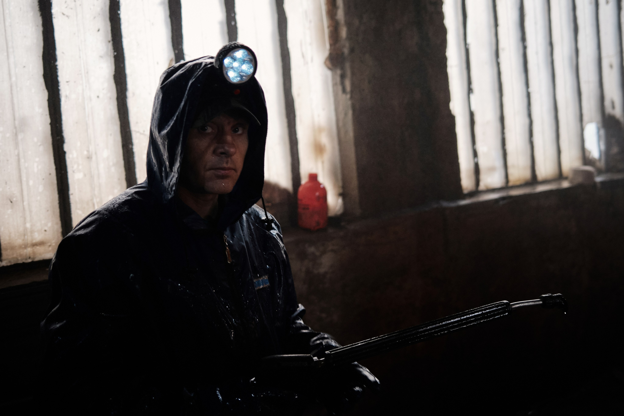 Сантрест. Photographer Roman Filippov